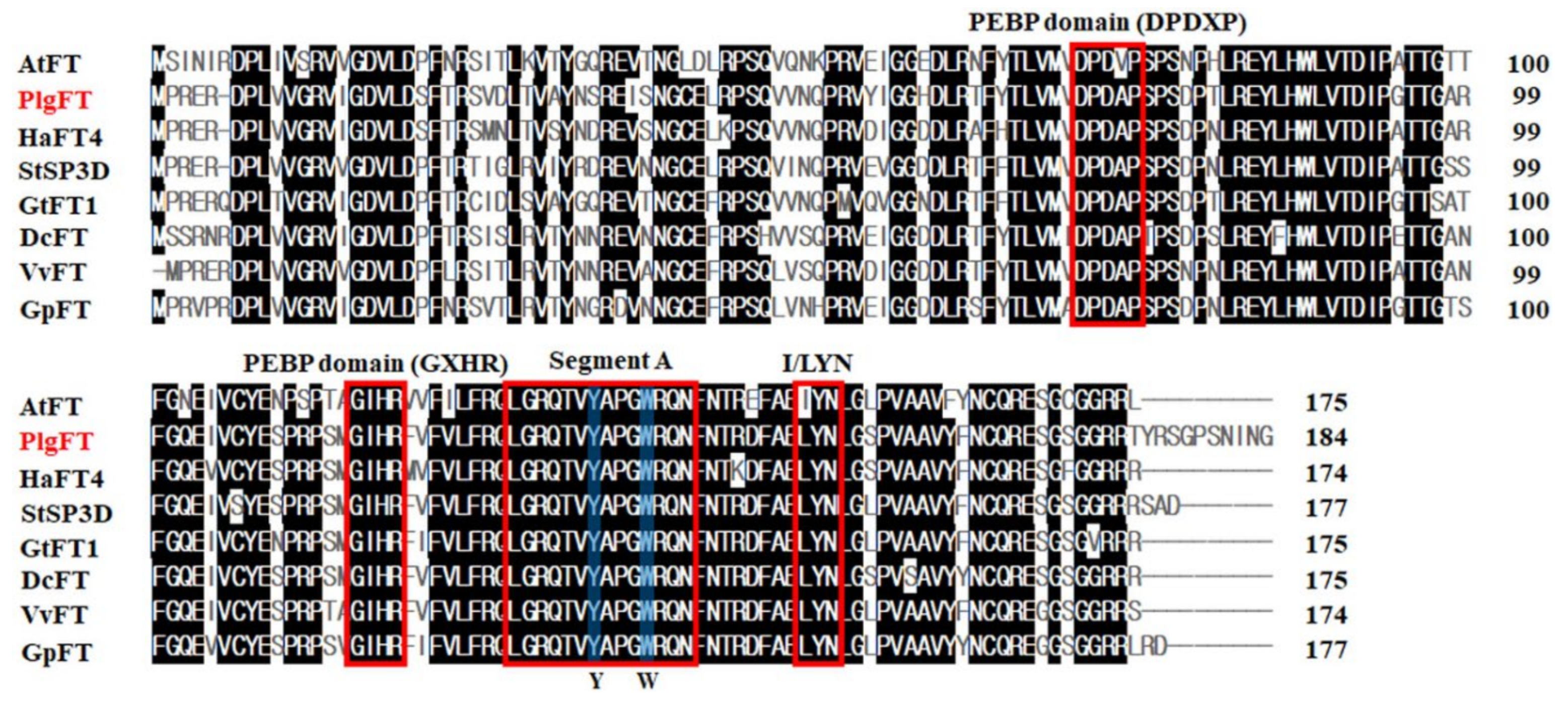 Plants 11 00325 g001