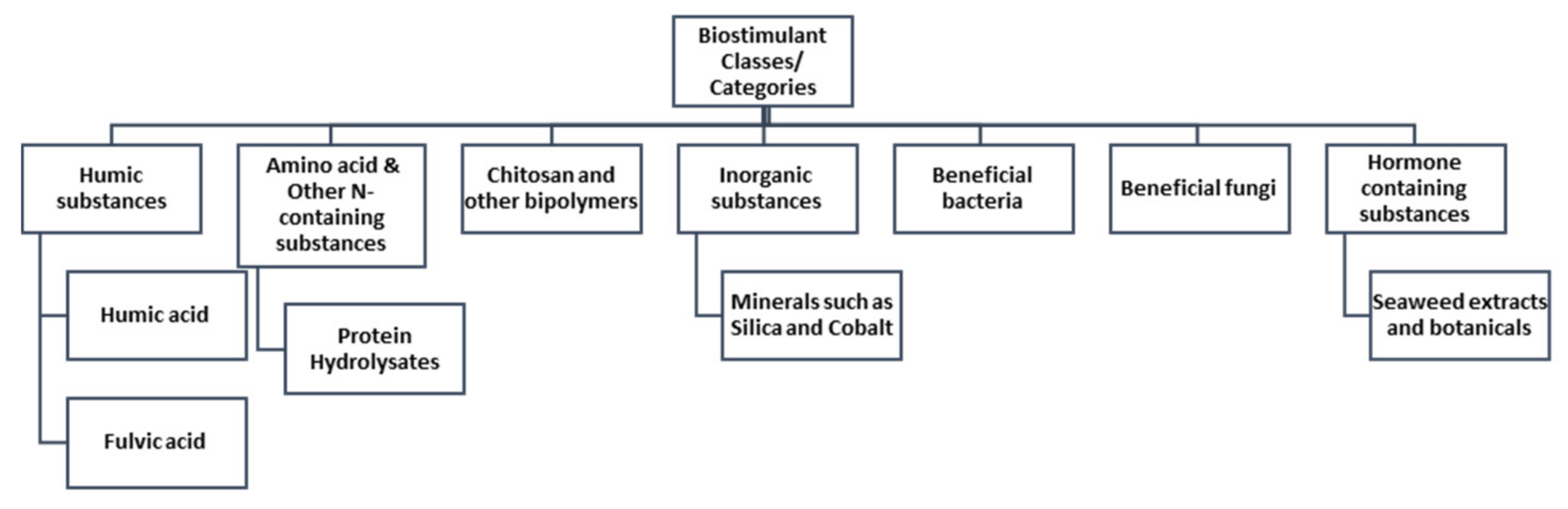 Plants 11 00348 g001
