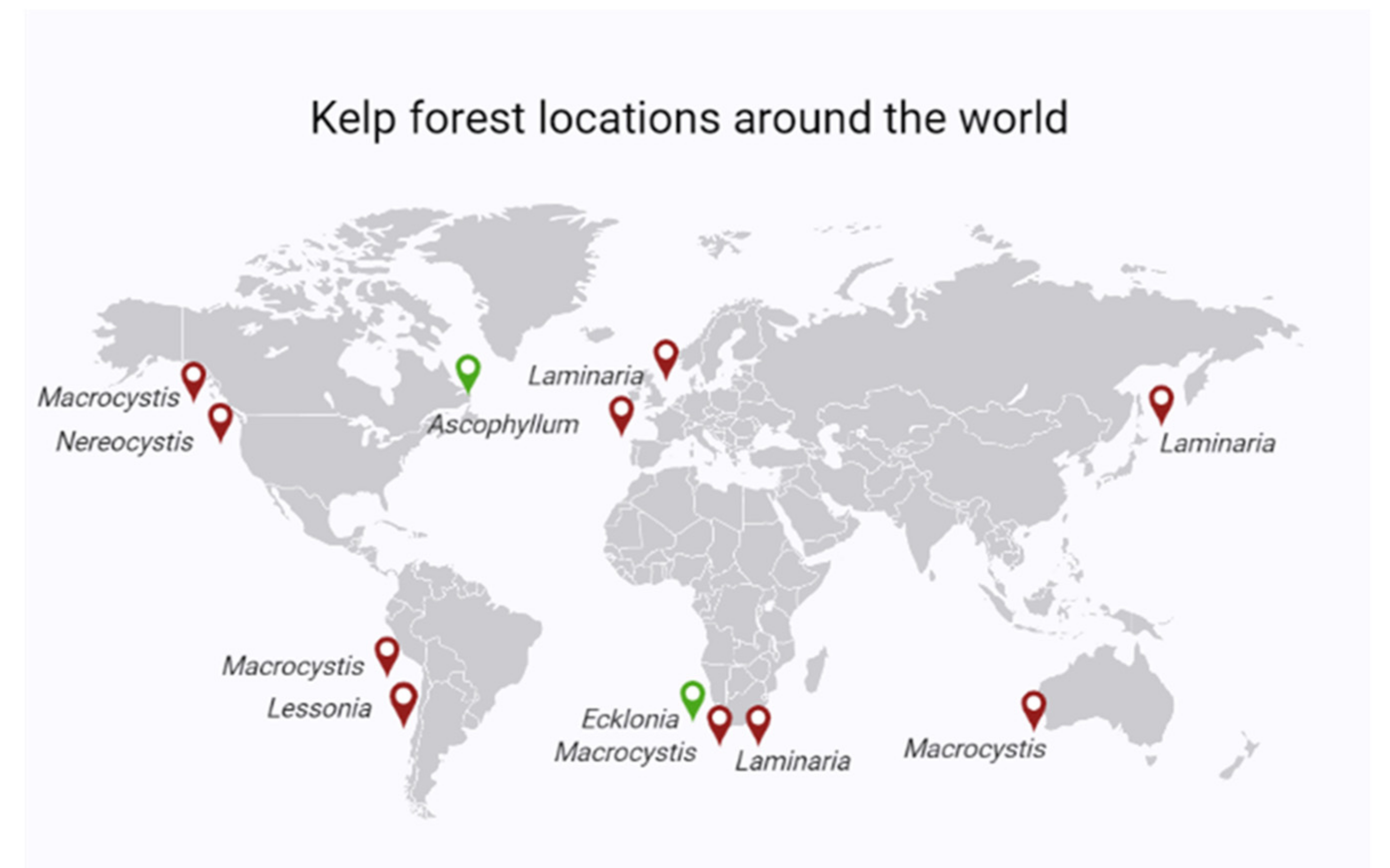 Plants 11 00348 g002