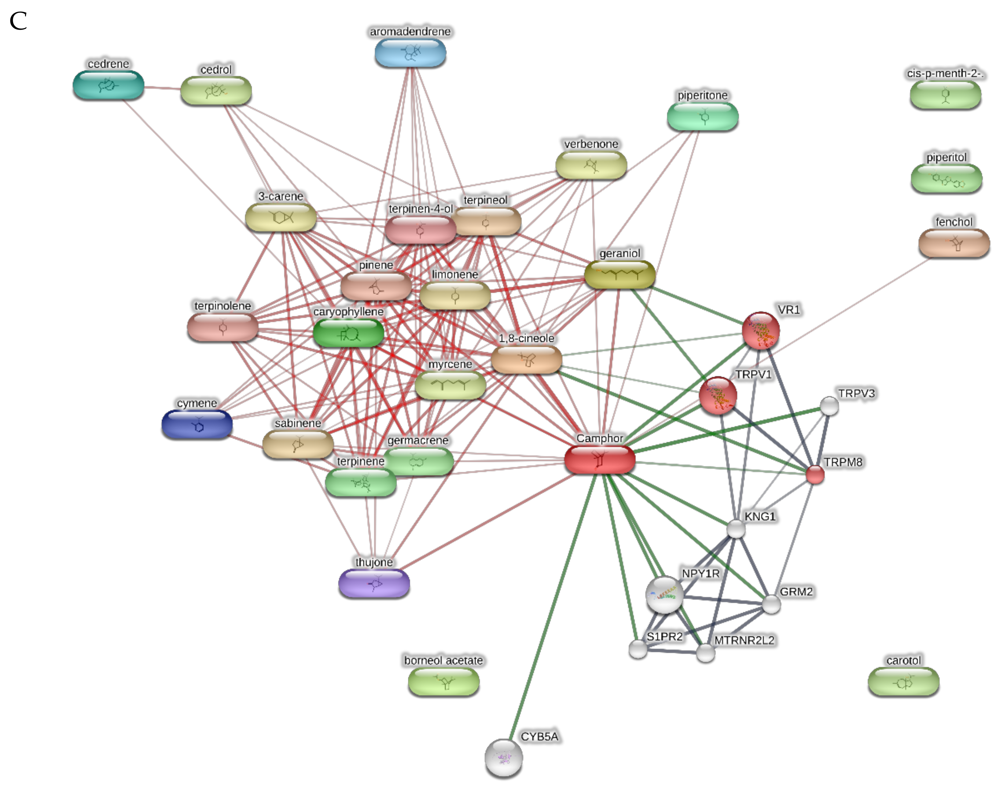 Plants 11 00349 g008b Plants 11 00349 g008b