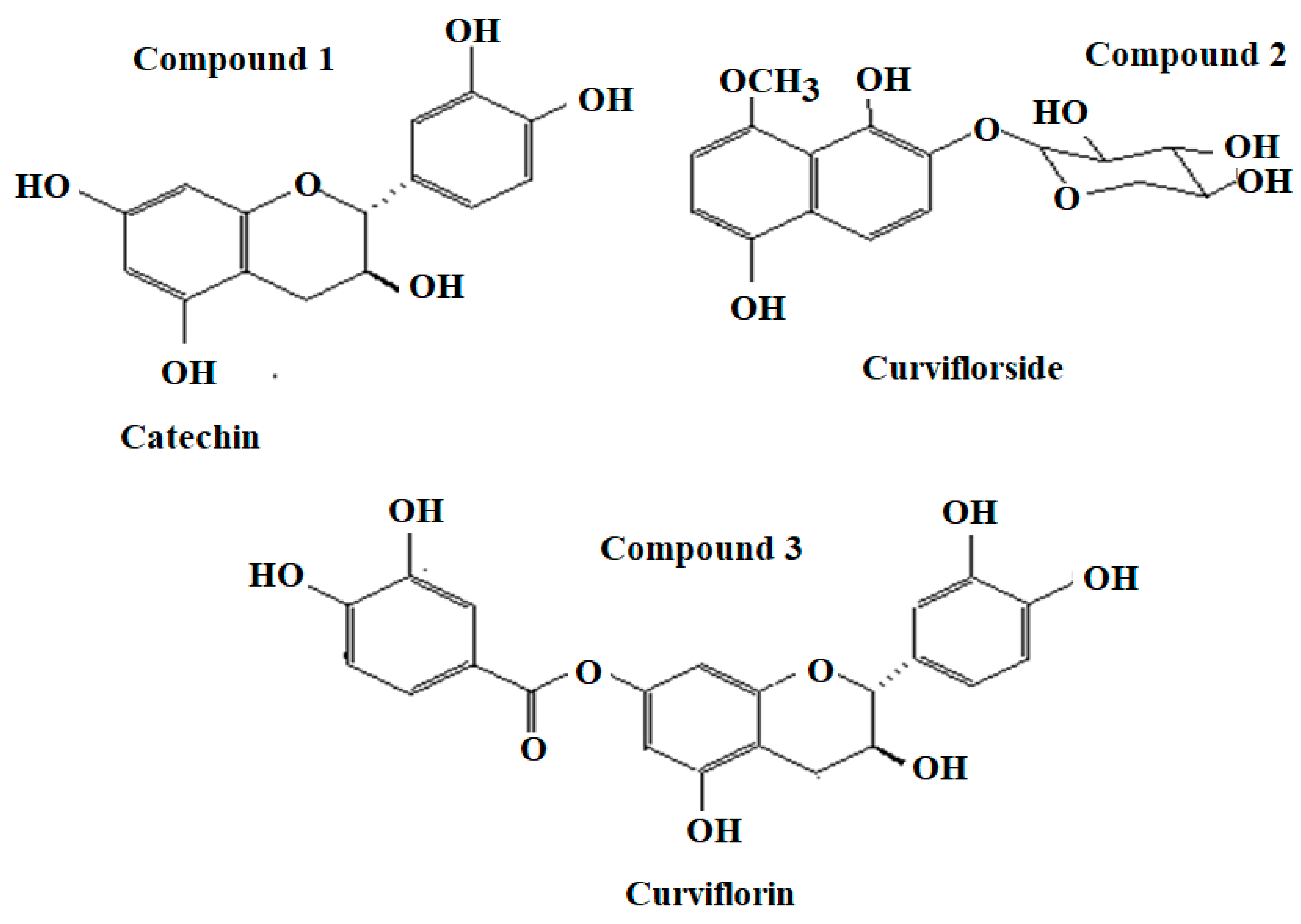 Plants 11 00361 g001
