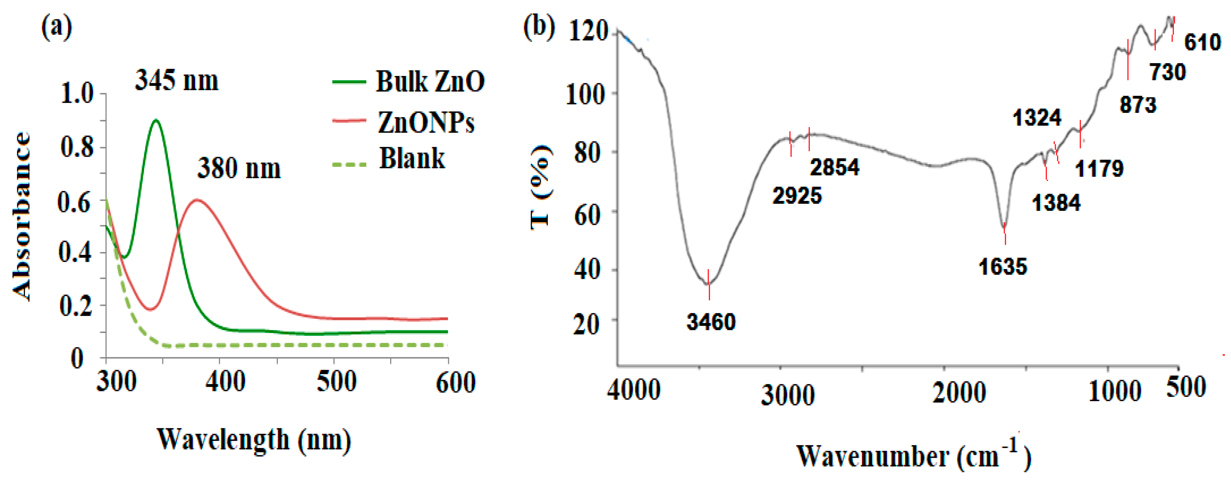 Plants 11 00361 g002