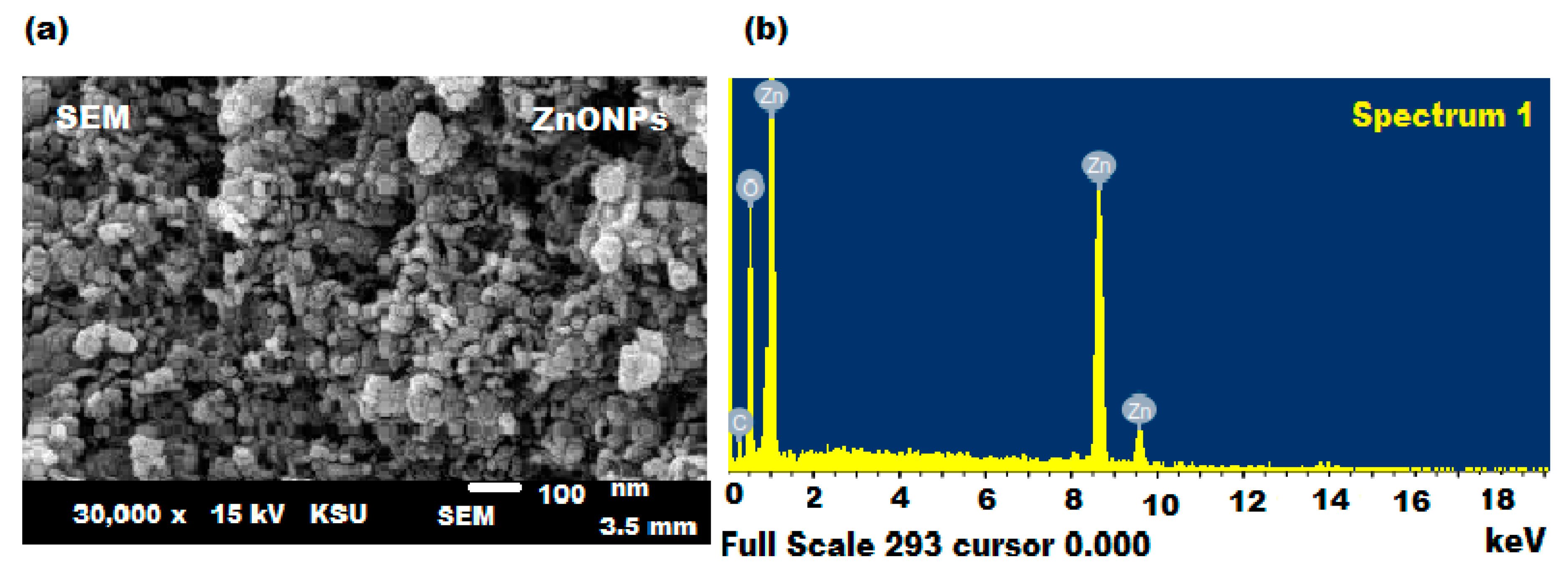 Plants 11 00361 g005