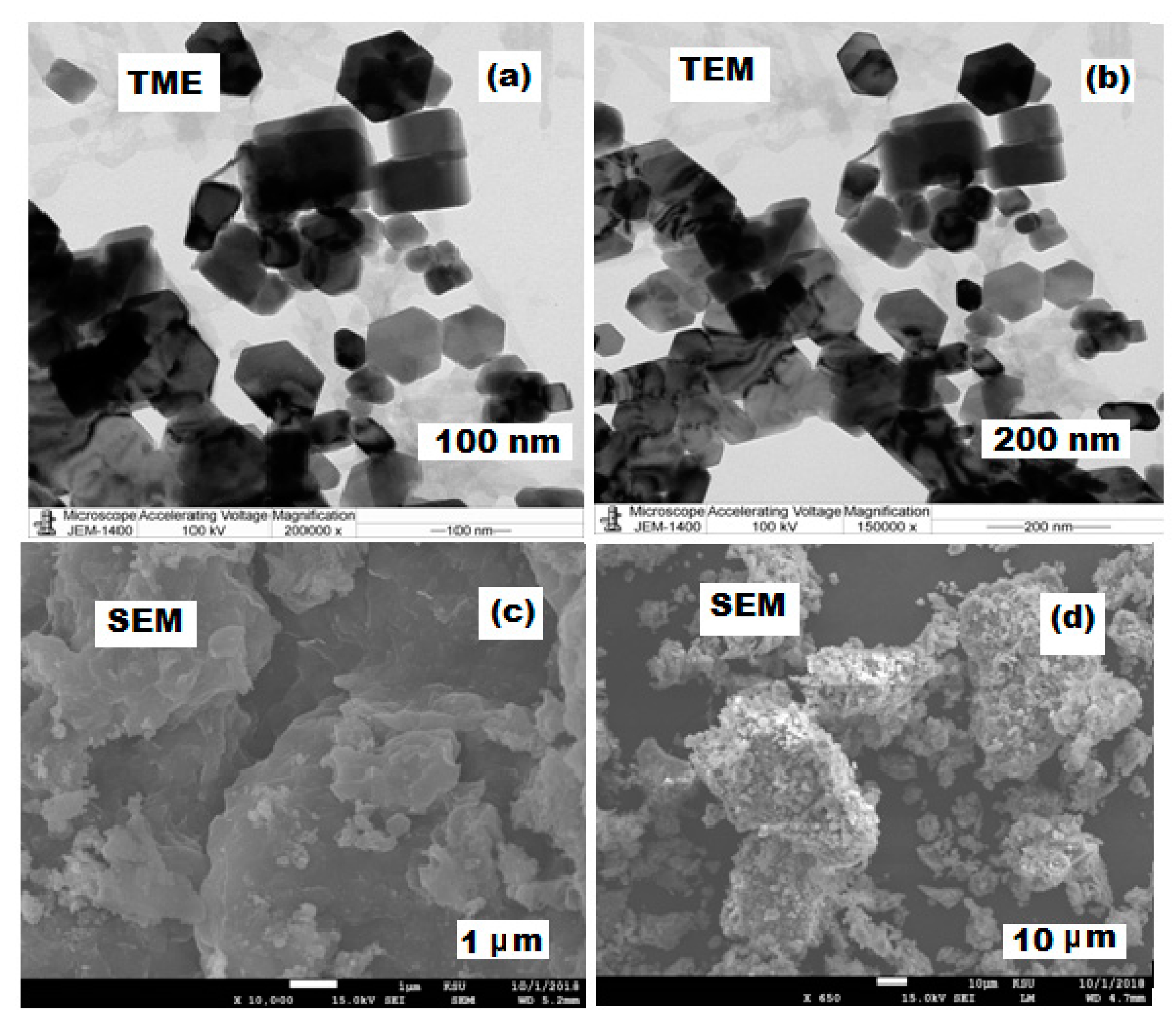 Plants 11 00361 g006