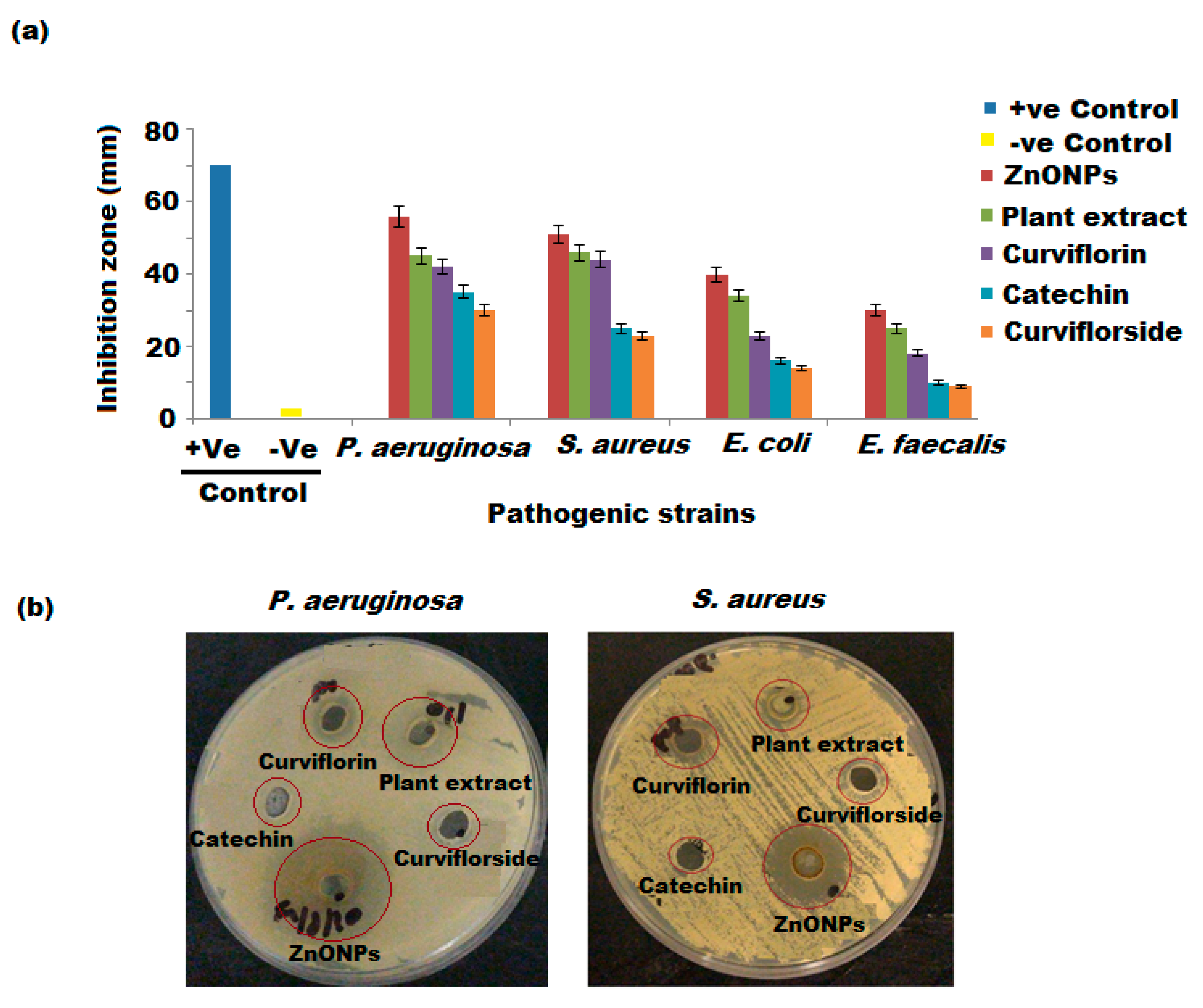 Plants 11 00361 g011