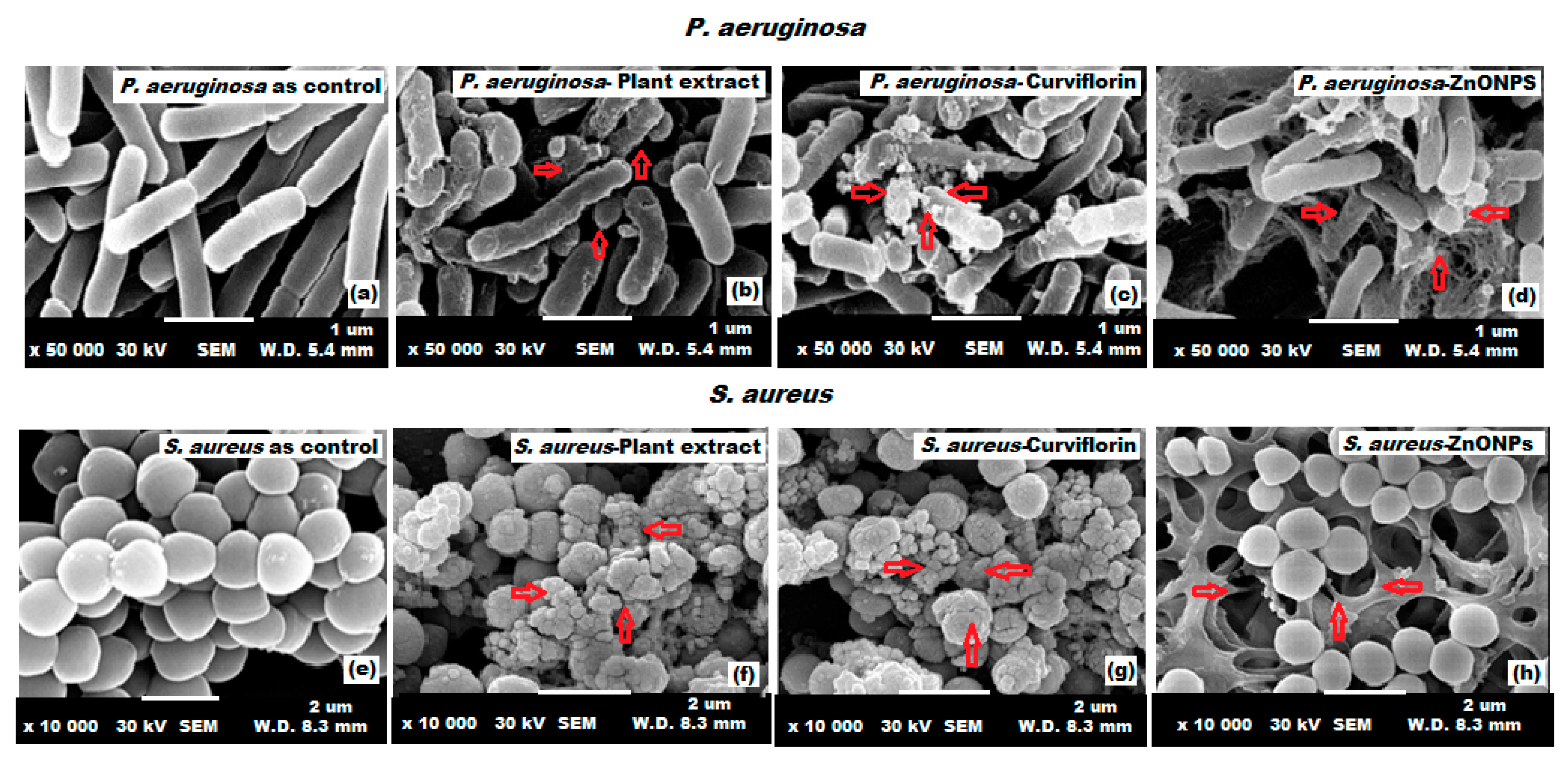 Plants 11 00361 g012