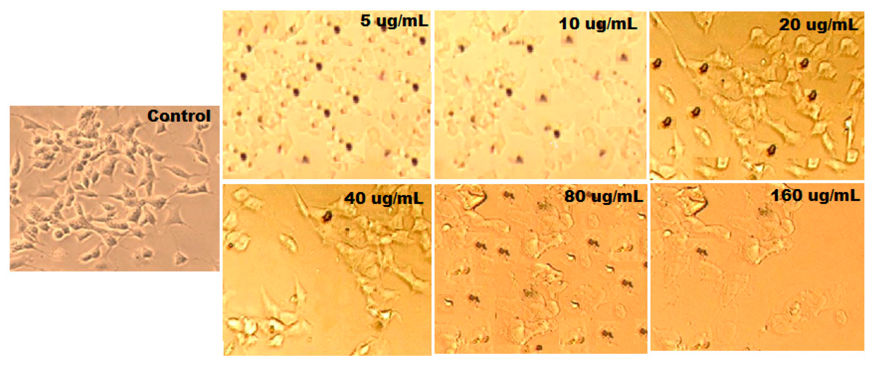 Plants 11 00361 g013