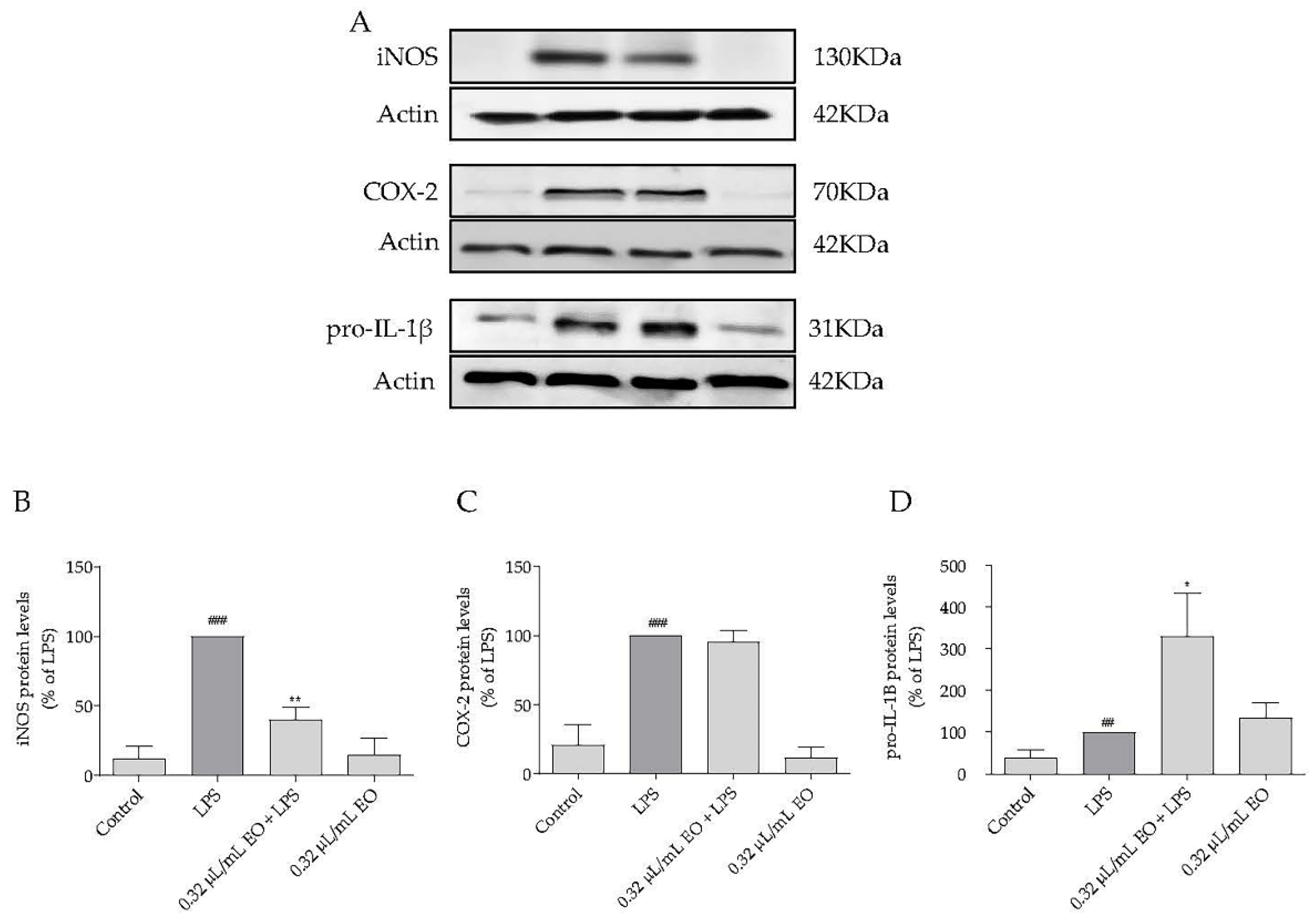 Plants 11 00370 g005