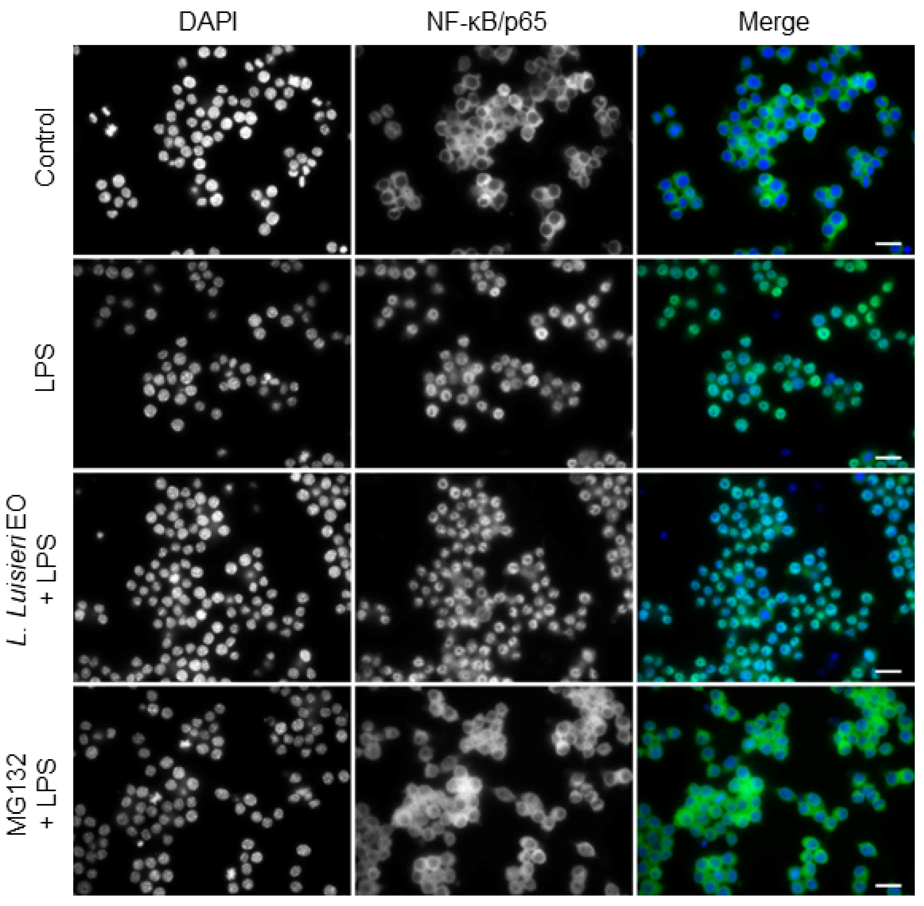 Plants 11 00370 g006