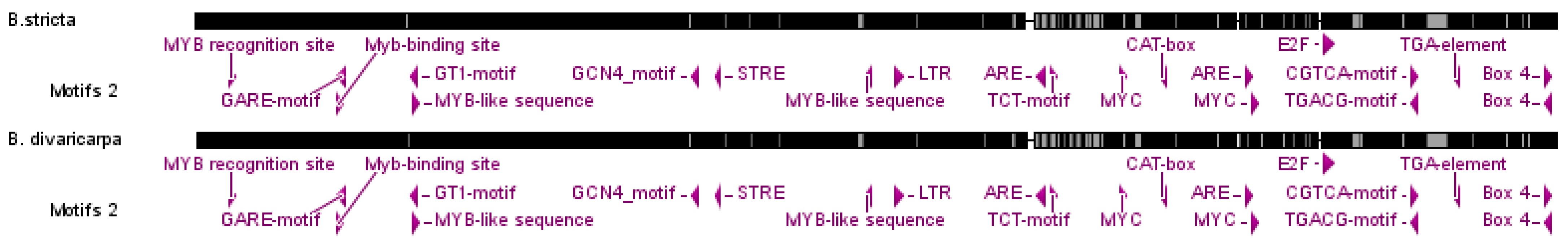 Plants 11 00387 g004