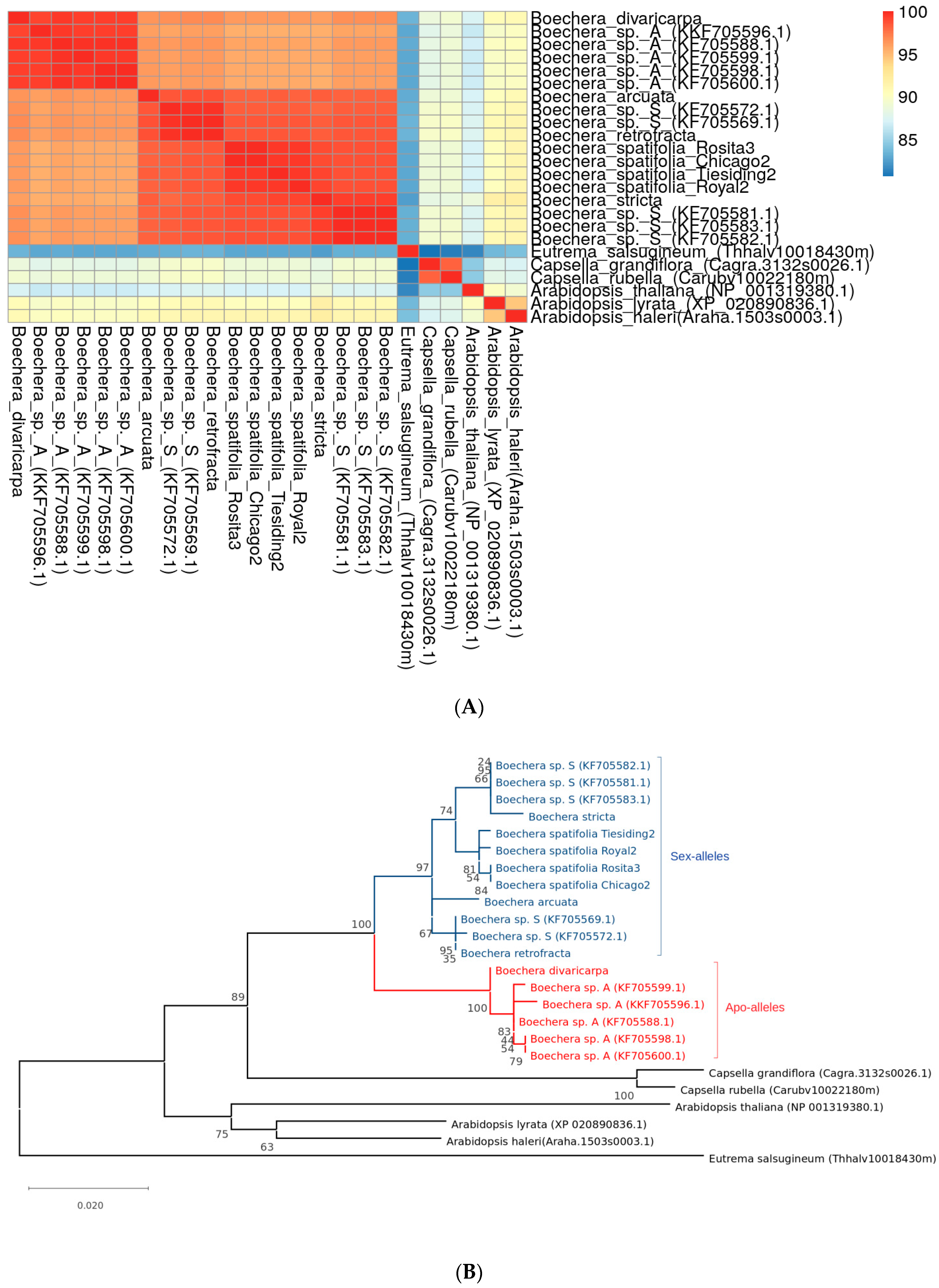 Plants 11 00387 g006
