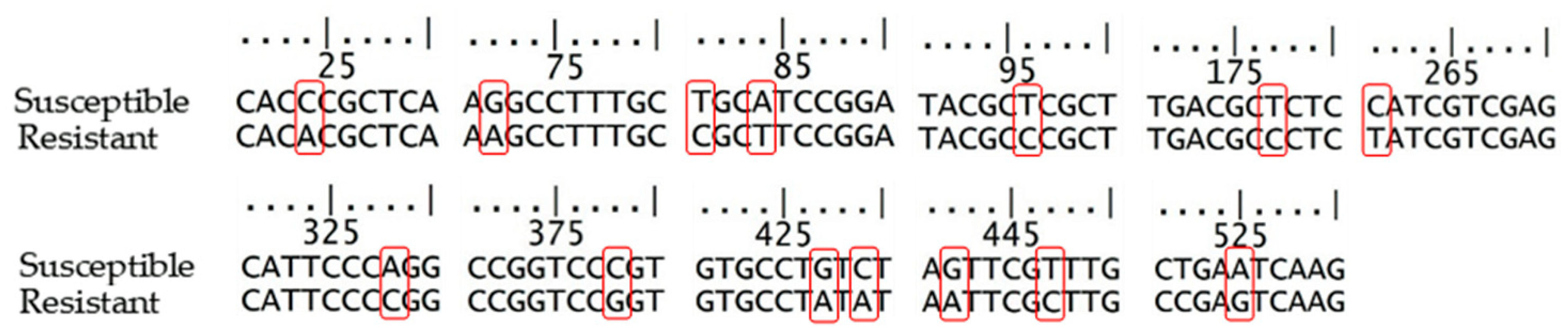 Plants 11 00400 g003