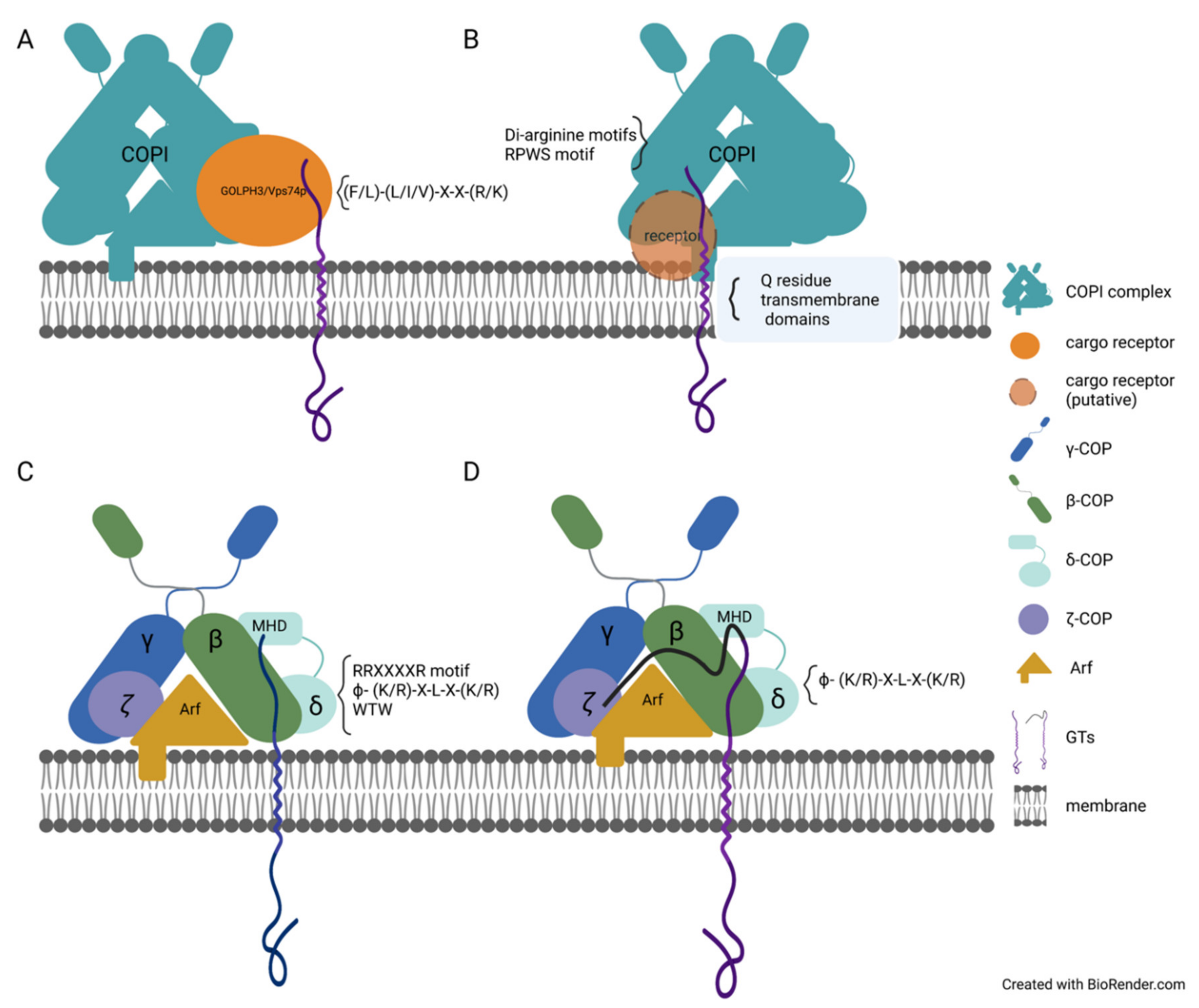 Plants 11 00428 g002 Plants 11 00428 g002