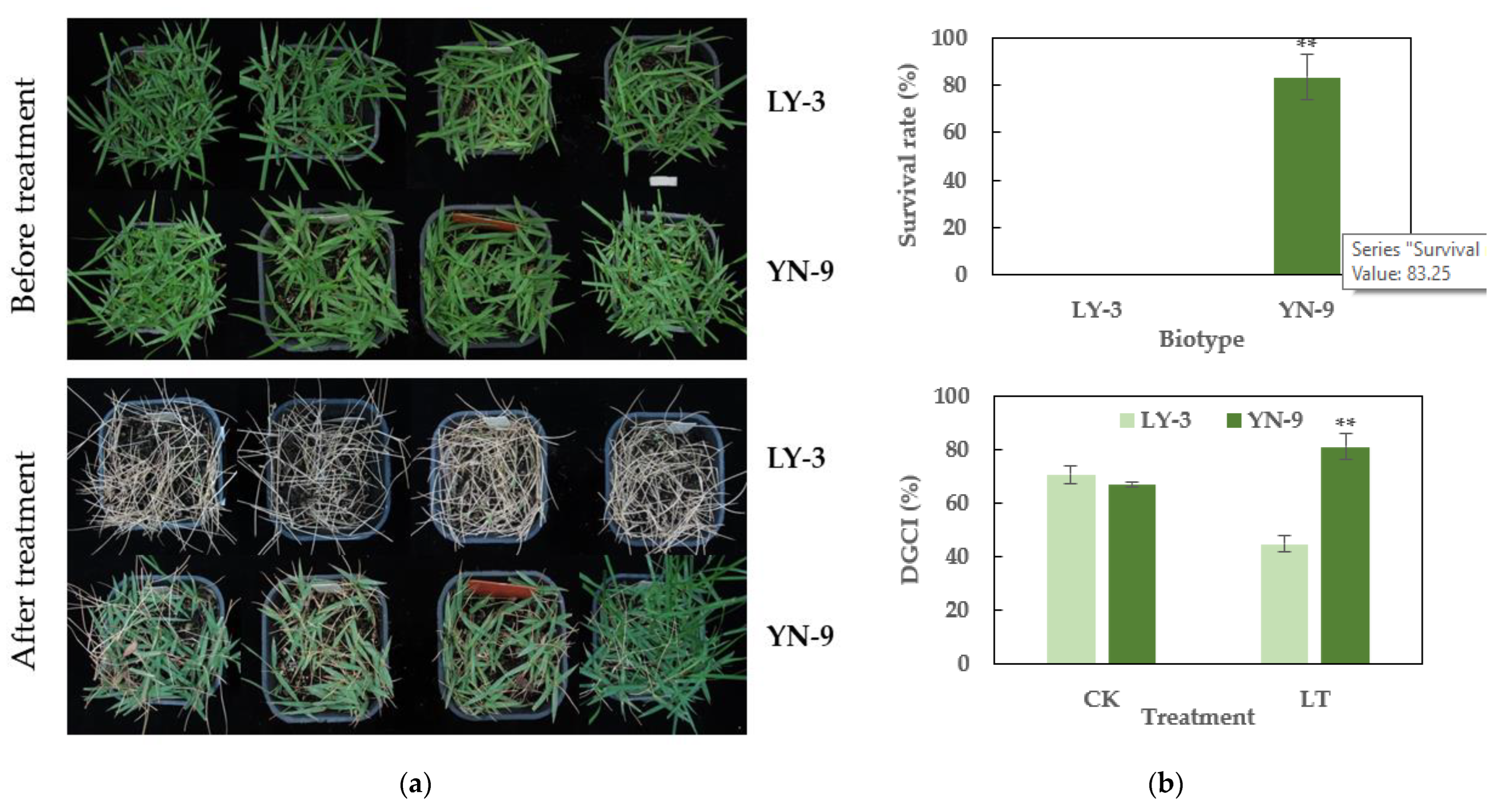 Plants 11 00429 g003