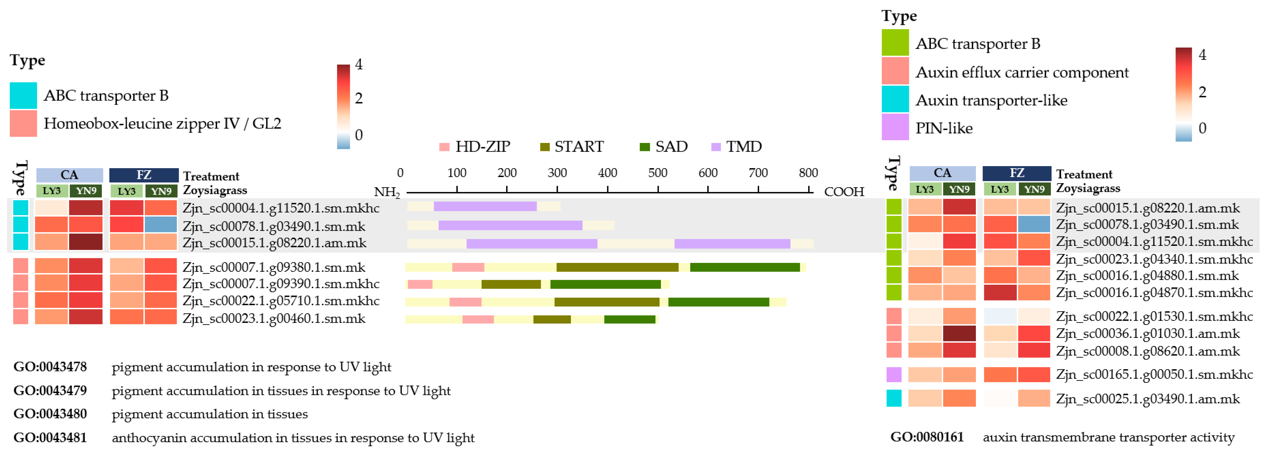 Plants 11 00429 g006