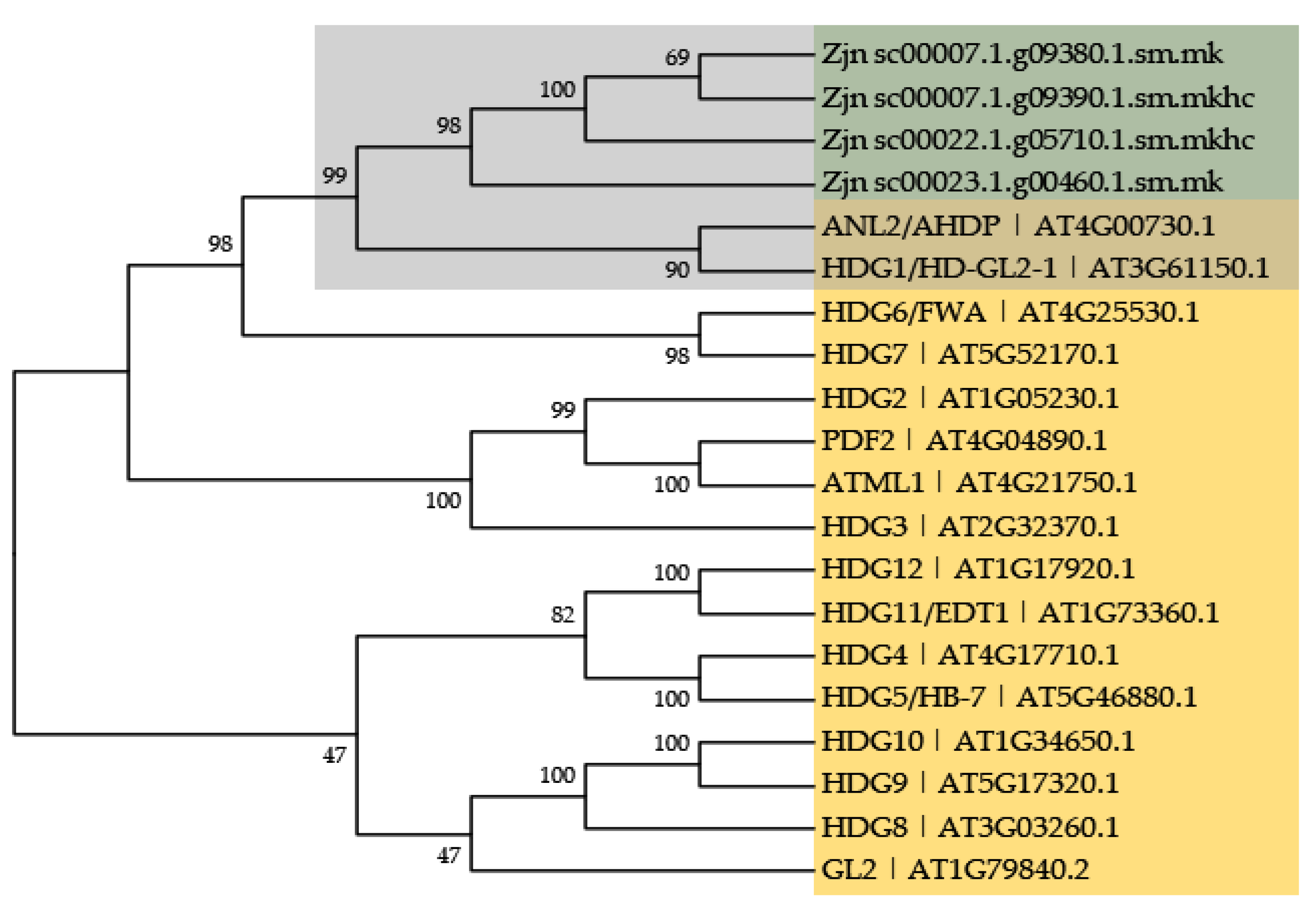 Plants 11 00429 g007