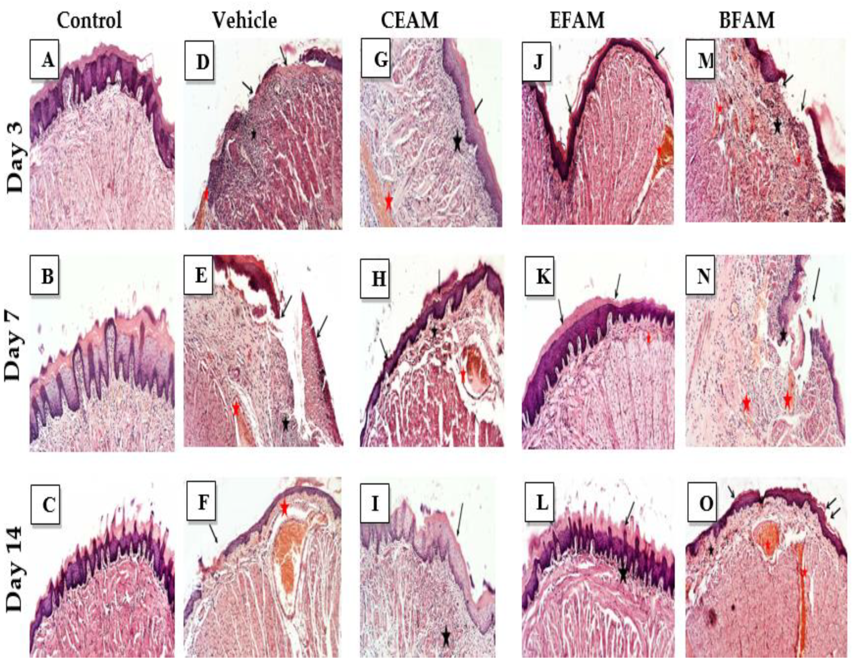 Plants 11 00455 g003