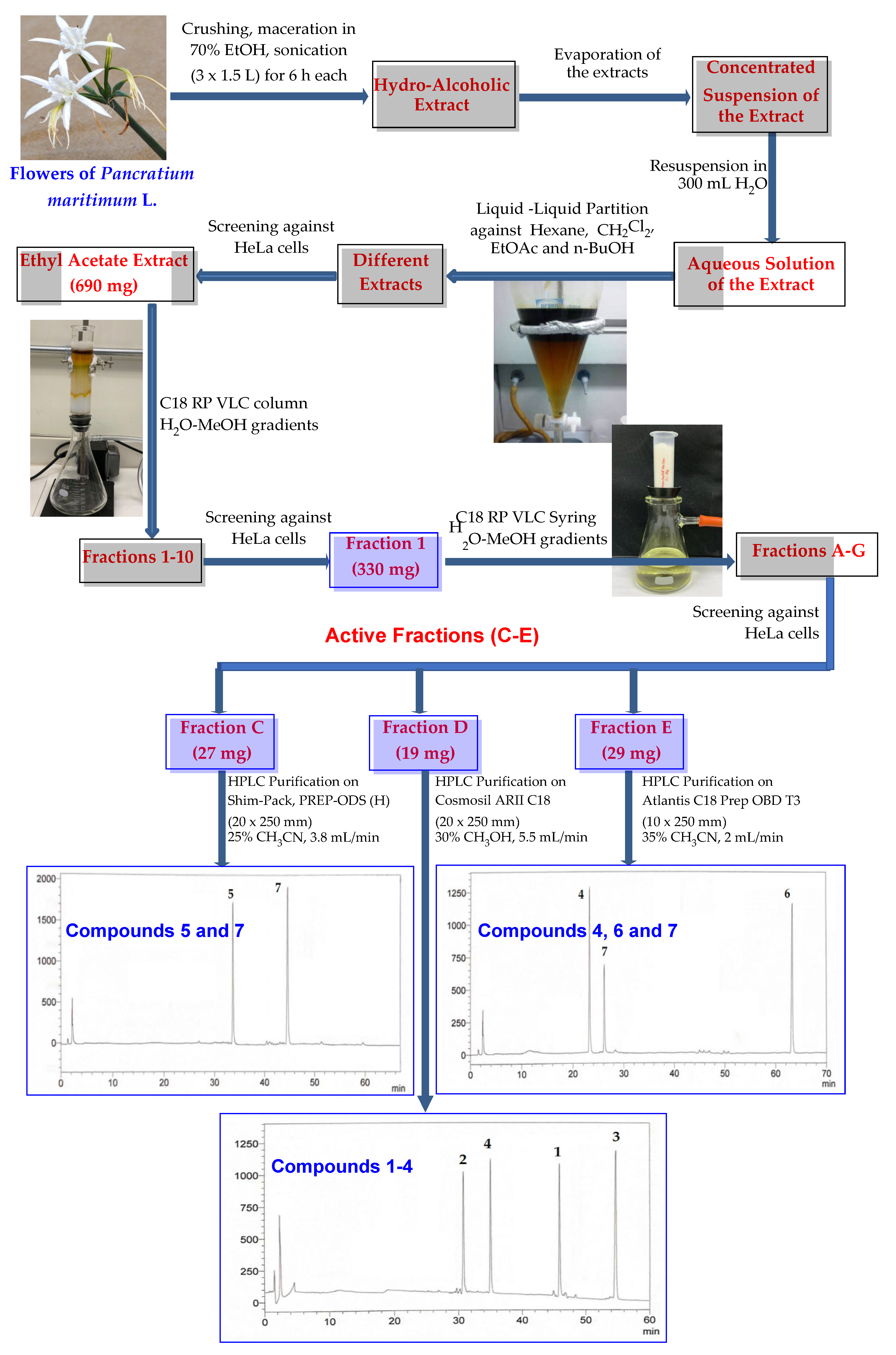 Plants 11 00476 sch001