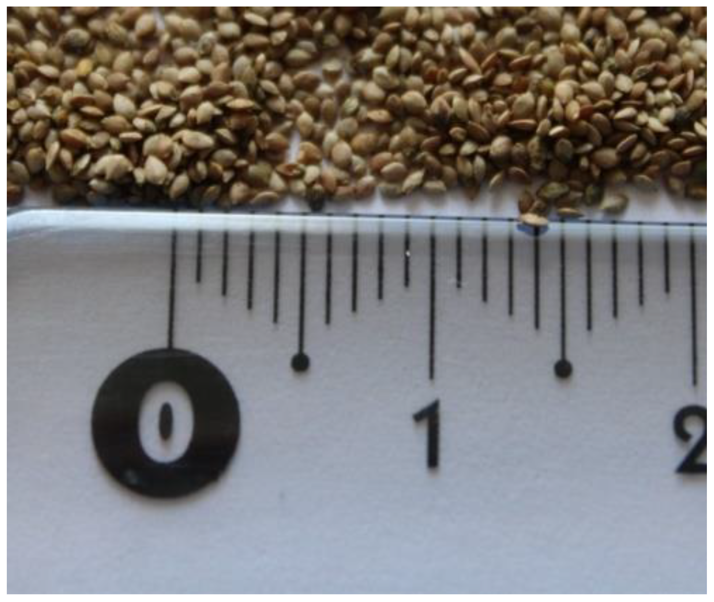 Plants 11 00483 g001