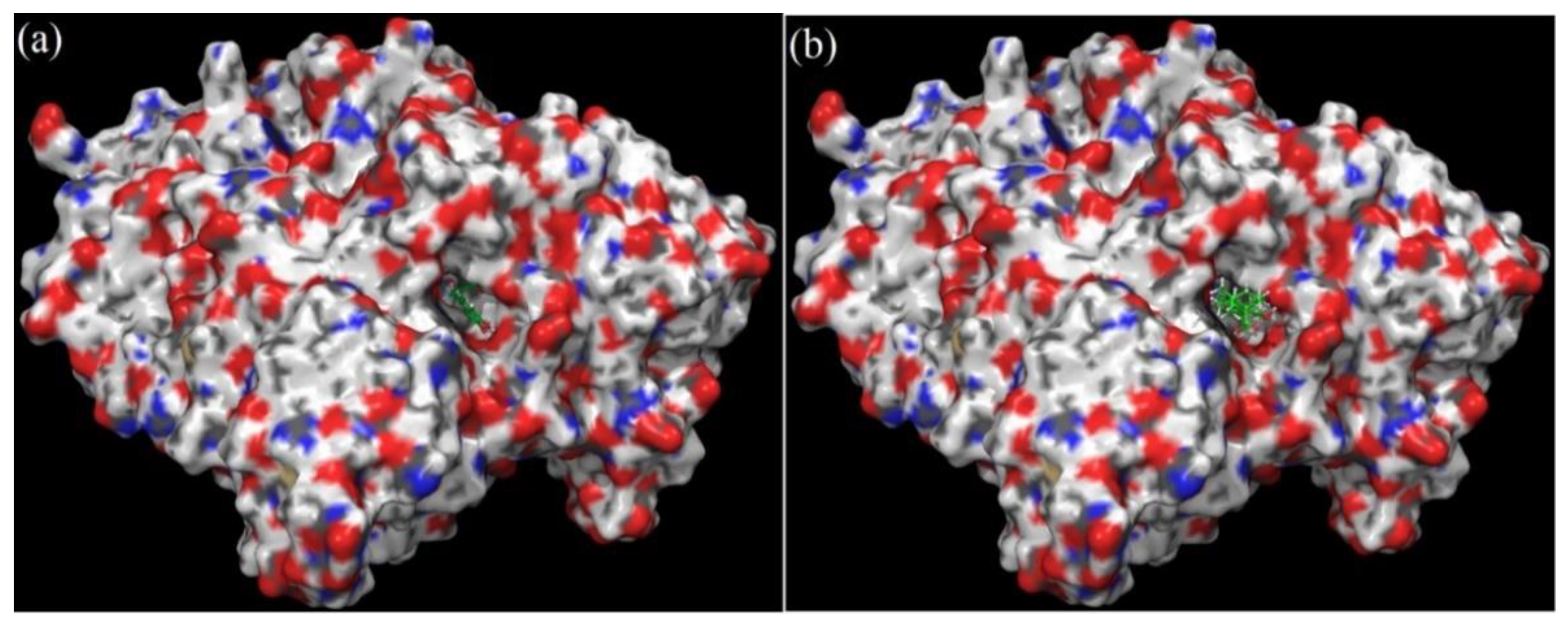 Plants 11 00514 g008