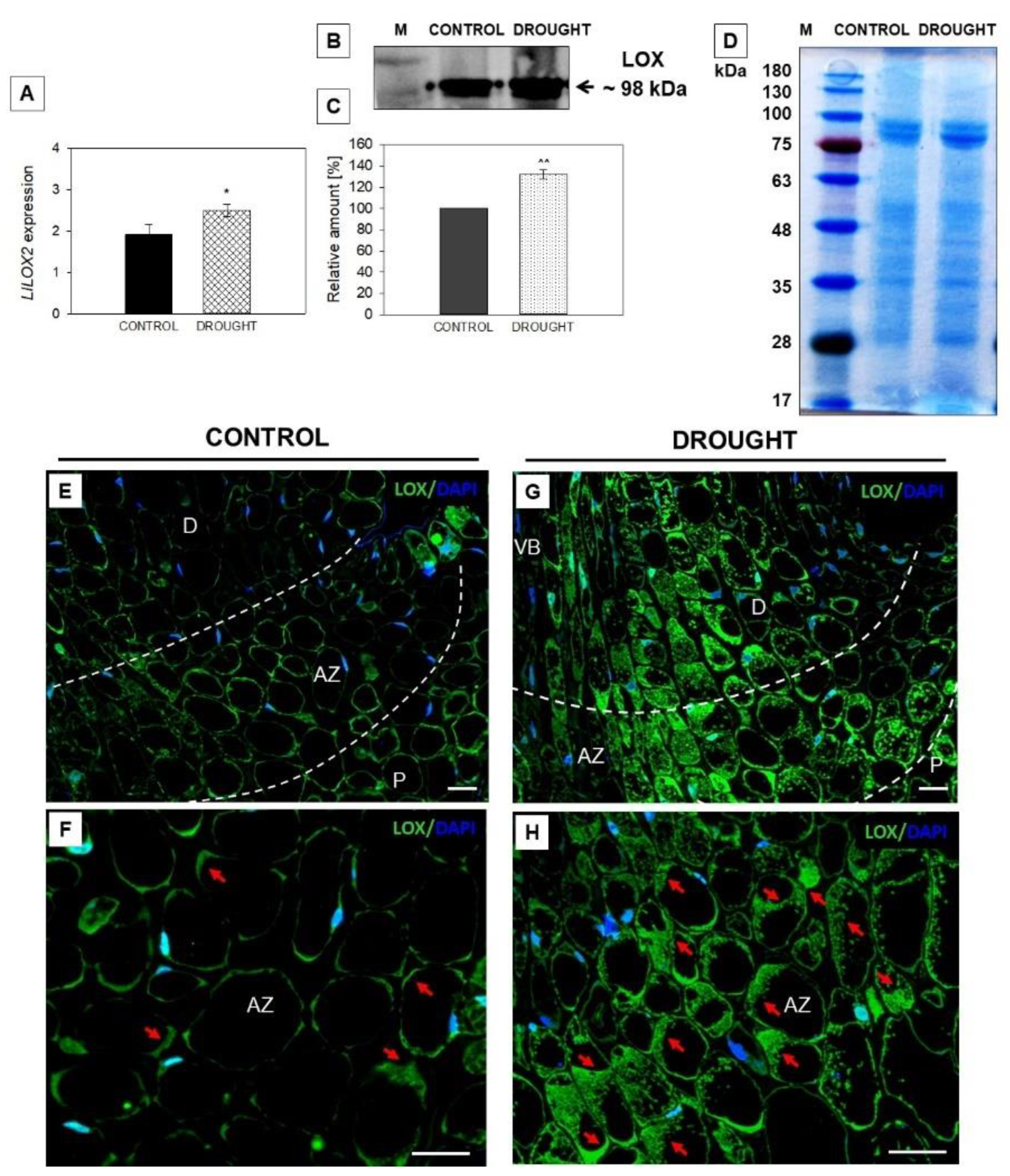 Plants 11 00527 g003