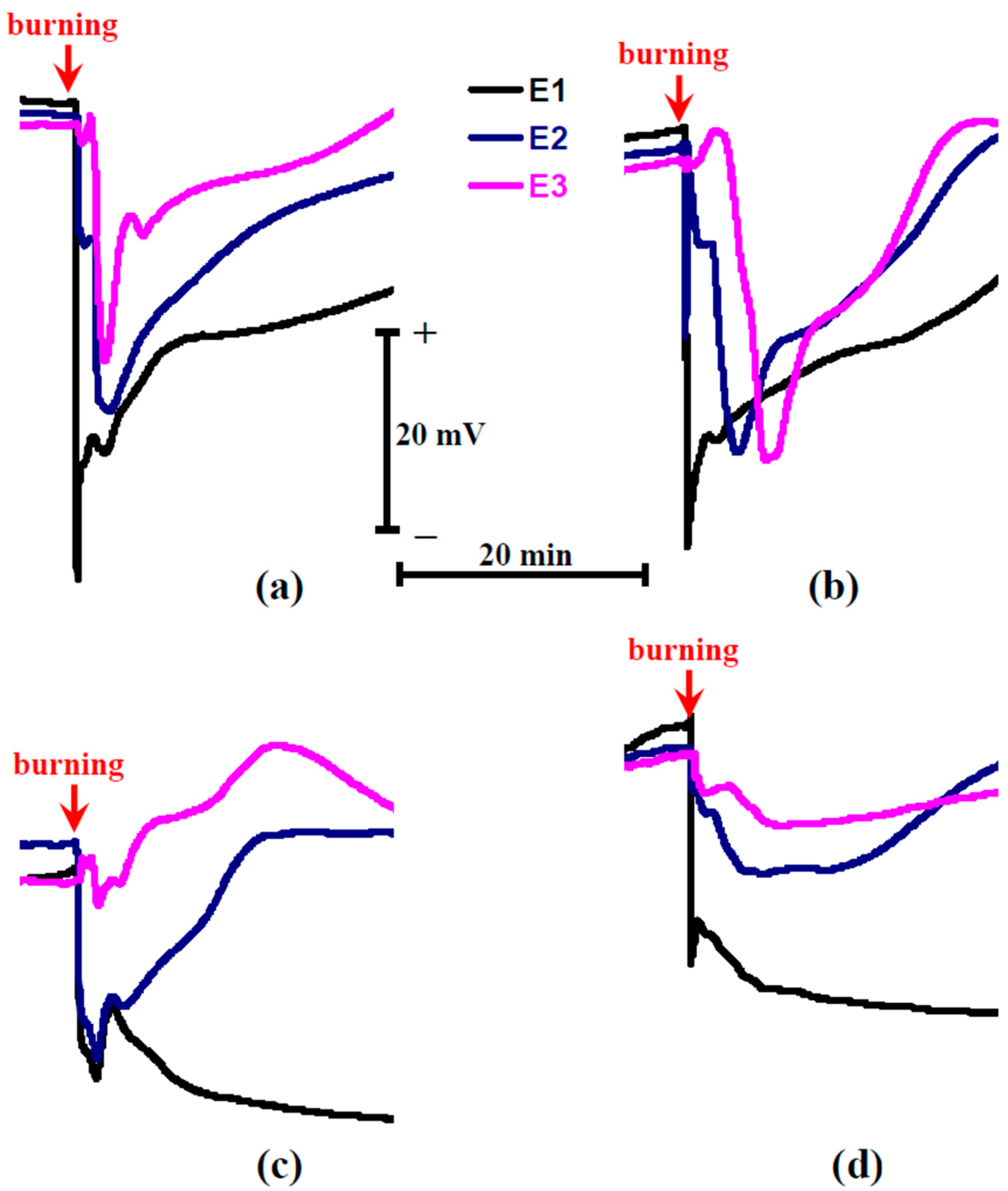 Plants 11 00534 g002