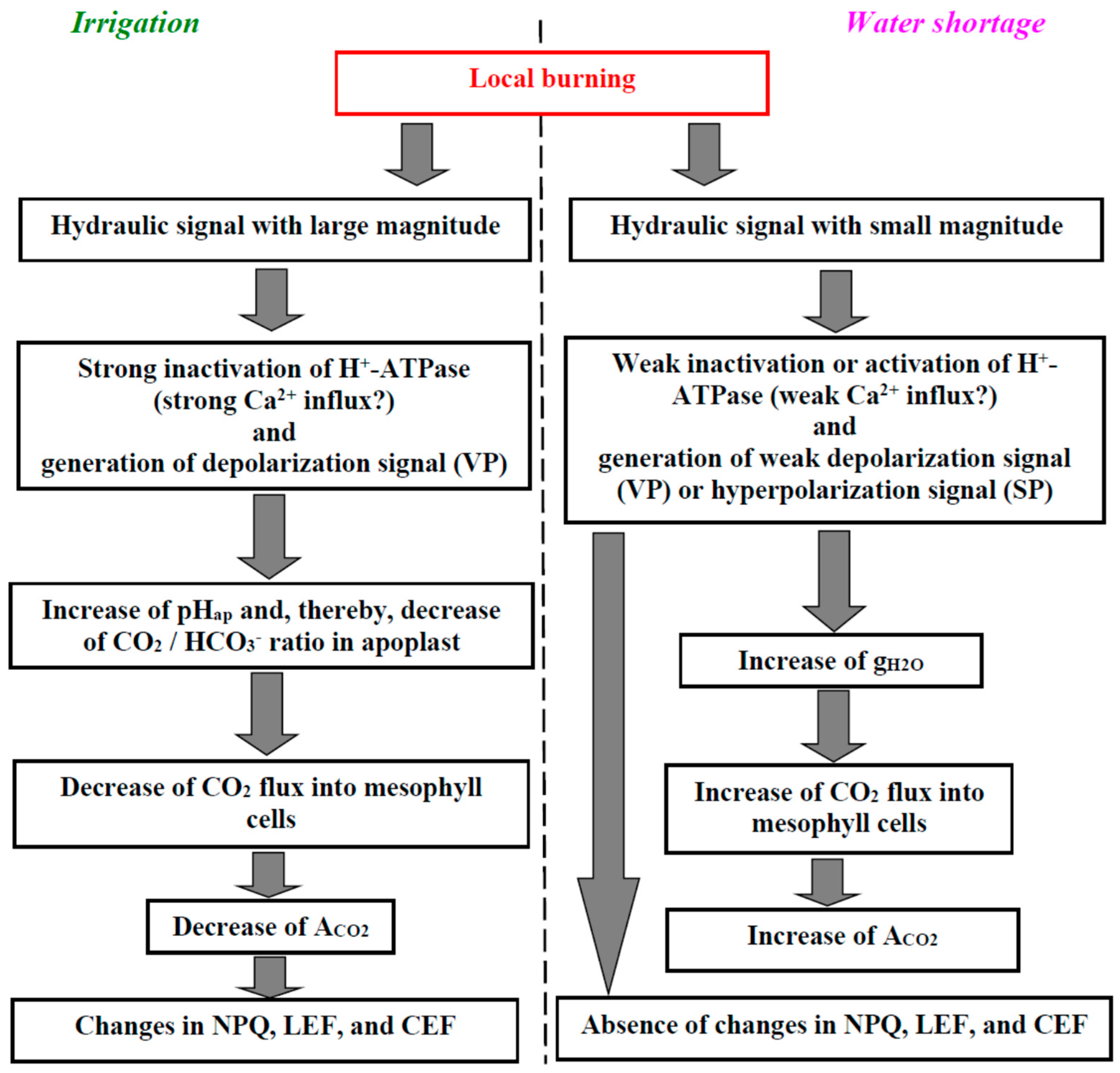 Plants 11 00534 g009