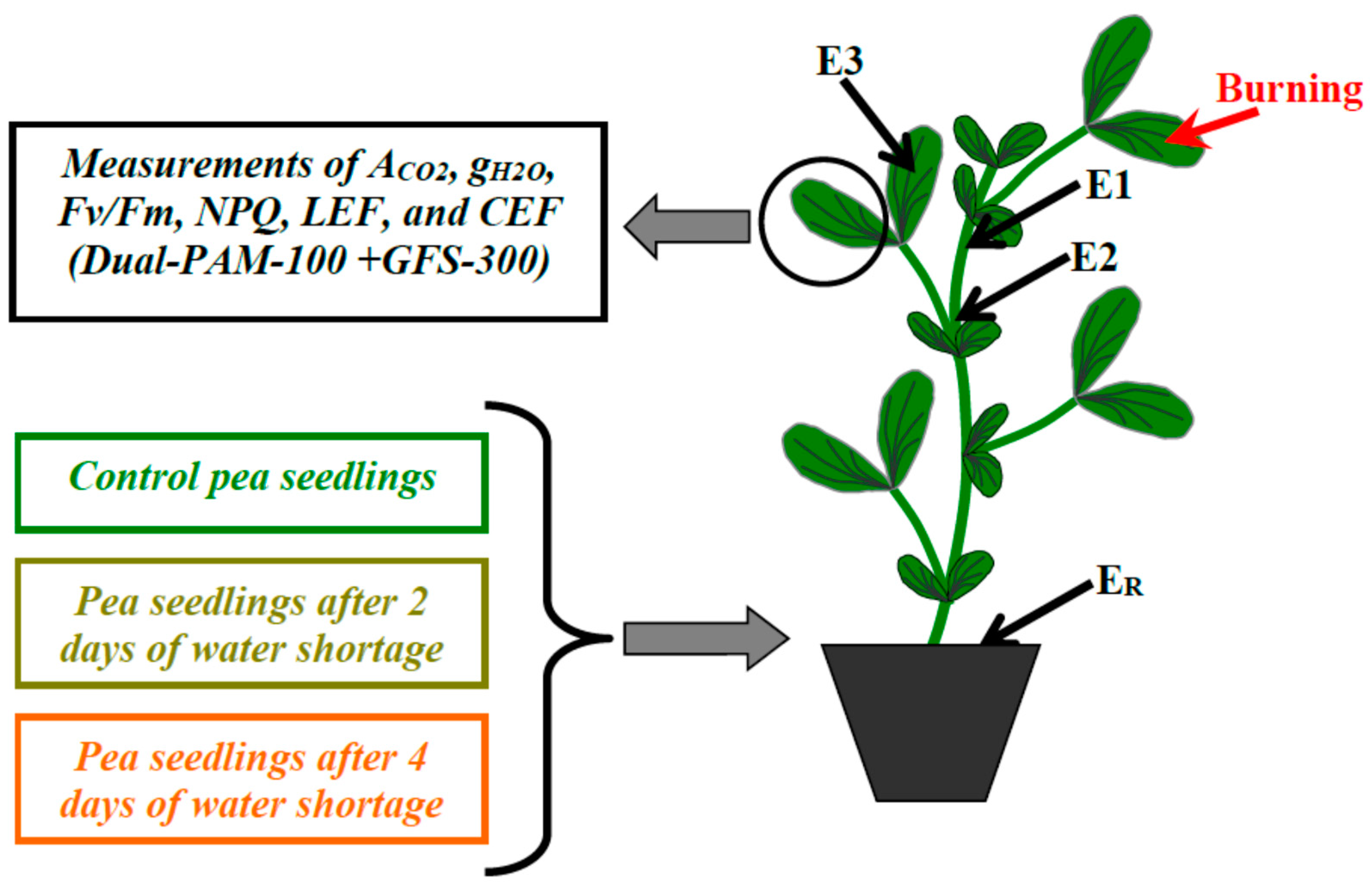 Plants 11 00534 g010