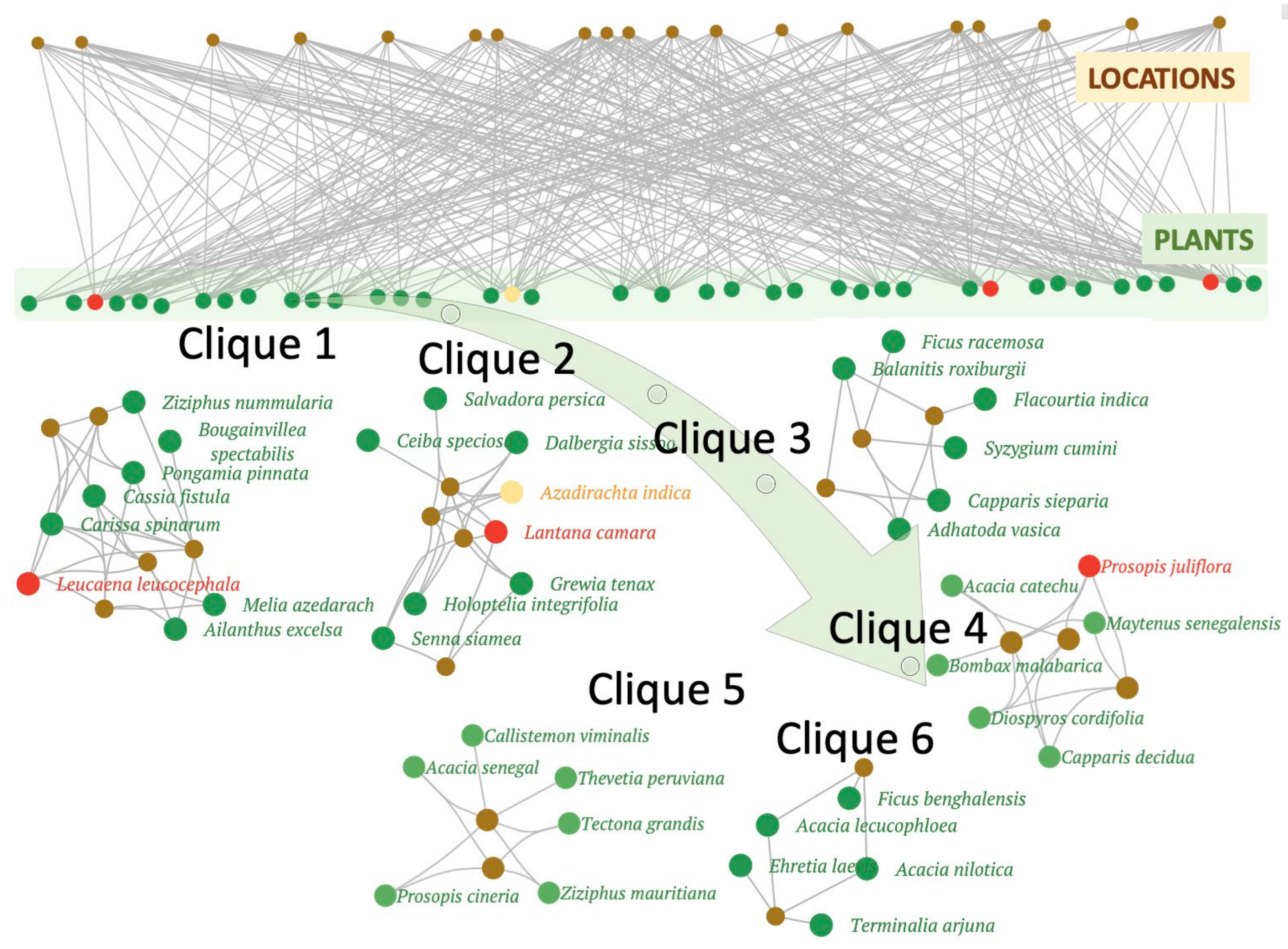 Plants 11 00541 g006 Plants 11 00541 g006