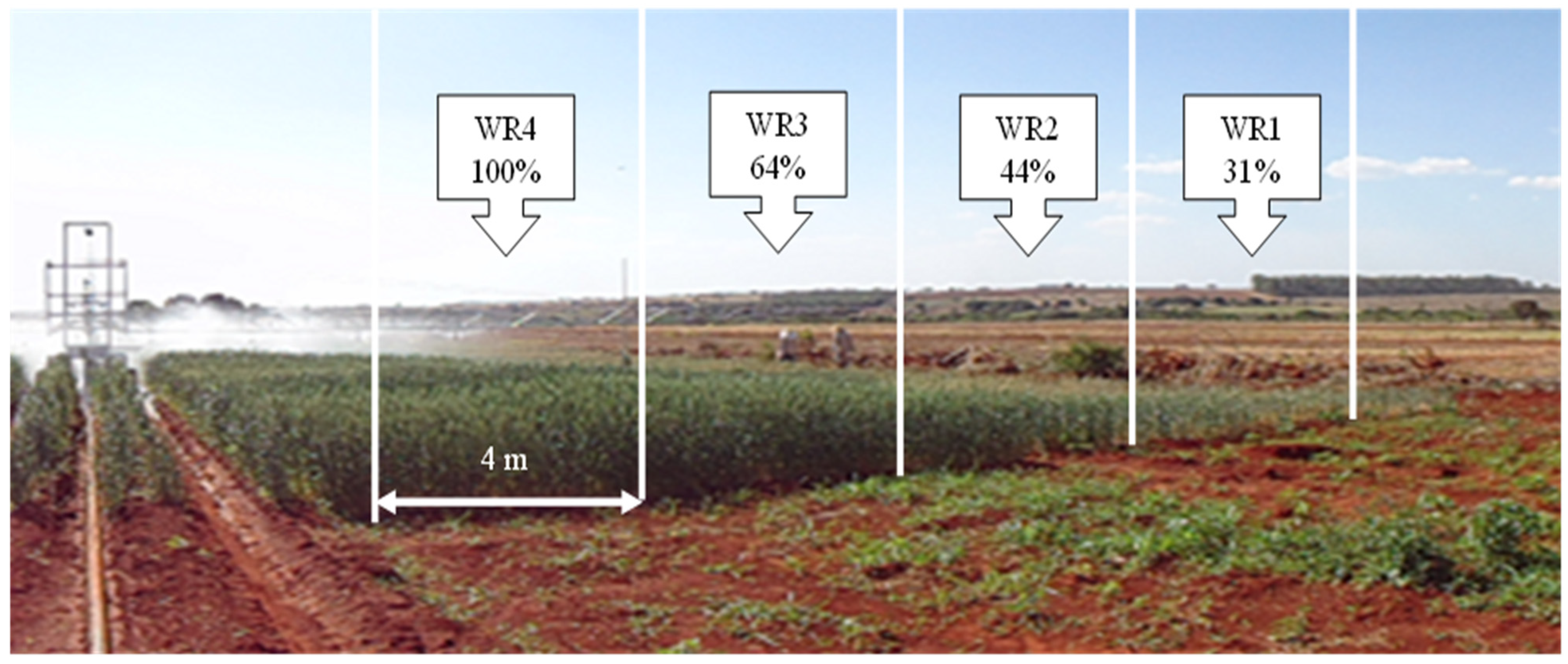 Plants 11 00559 g008