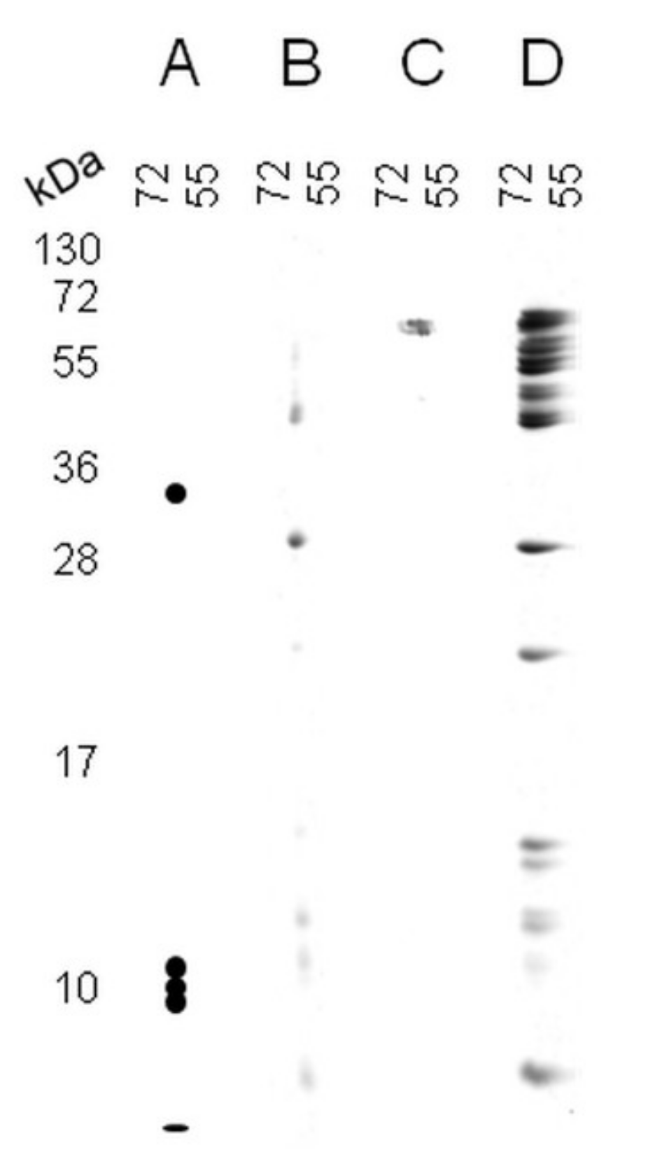 Plants 11 00569 g002