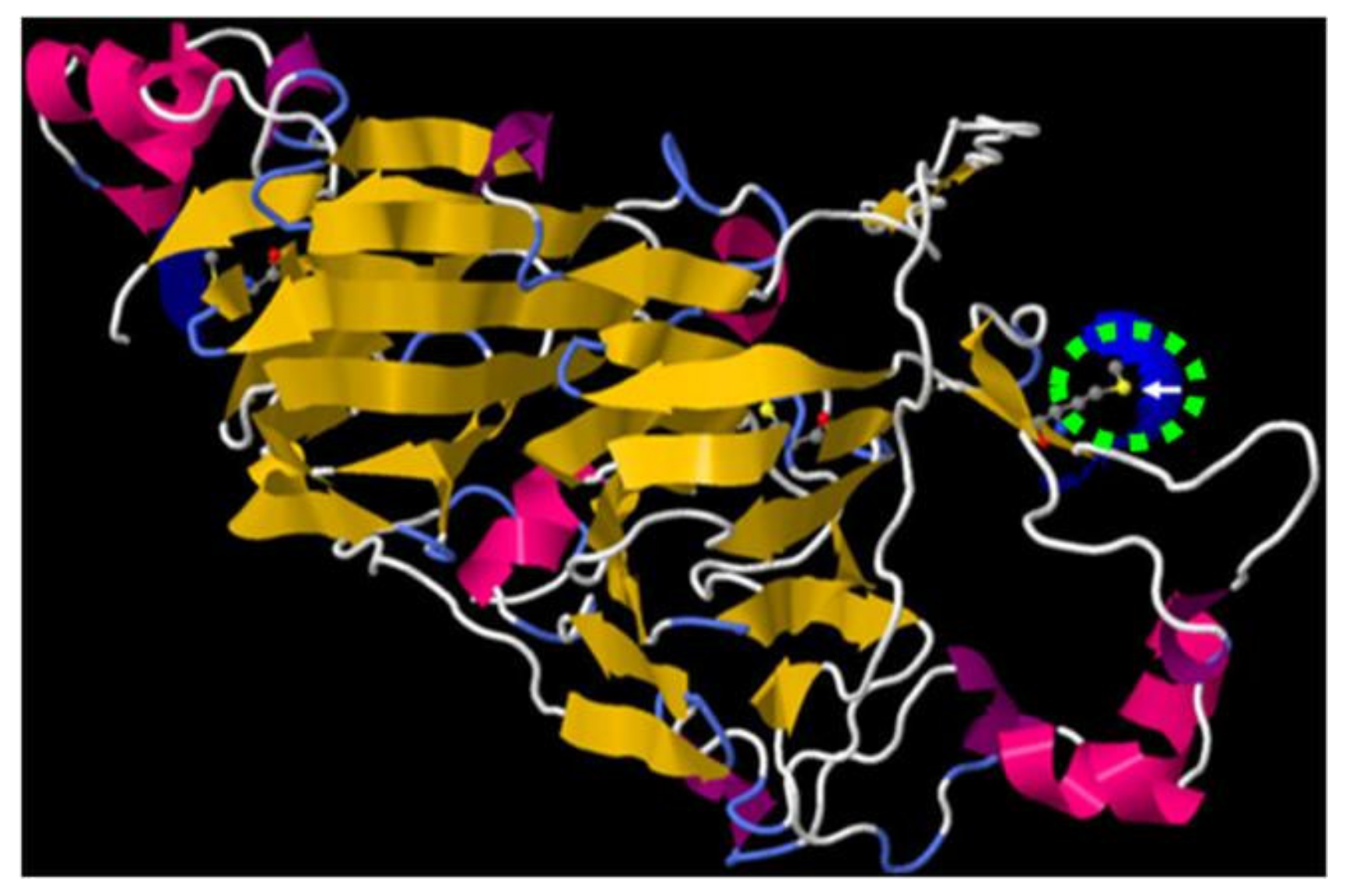 Plants 11 00569 g006