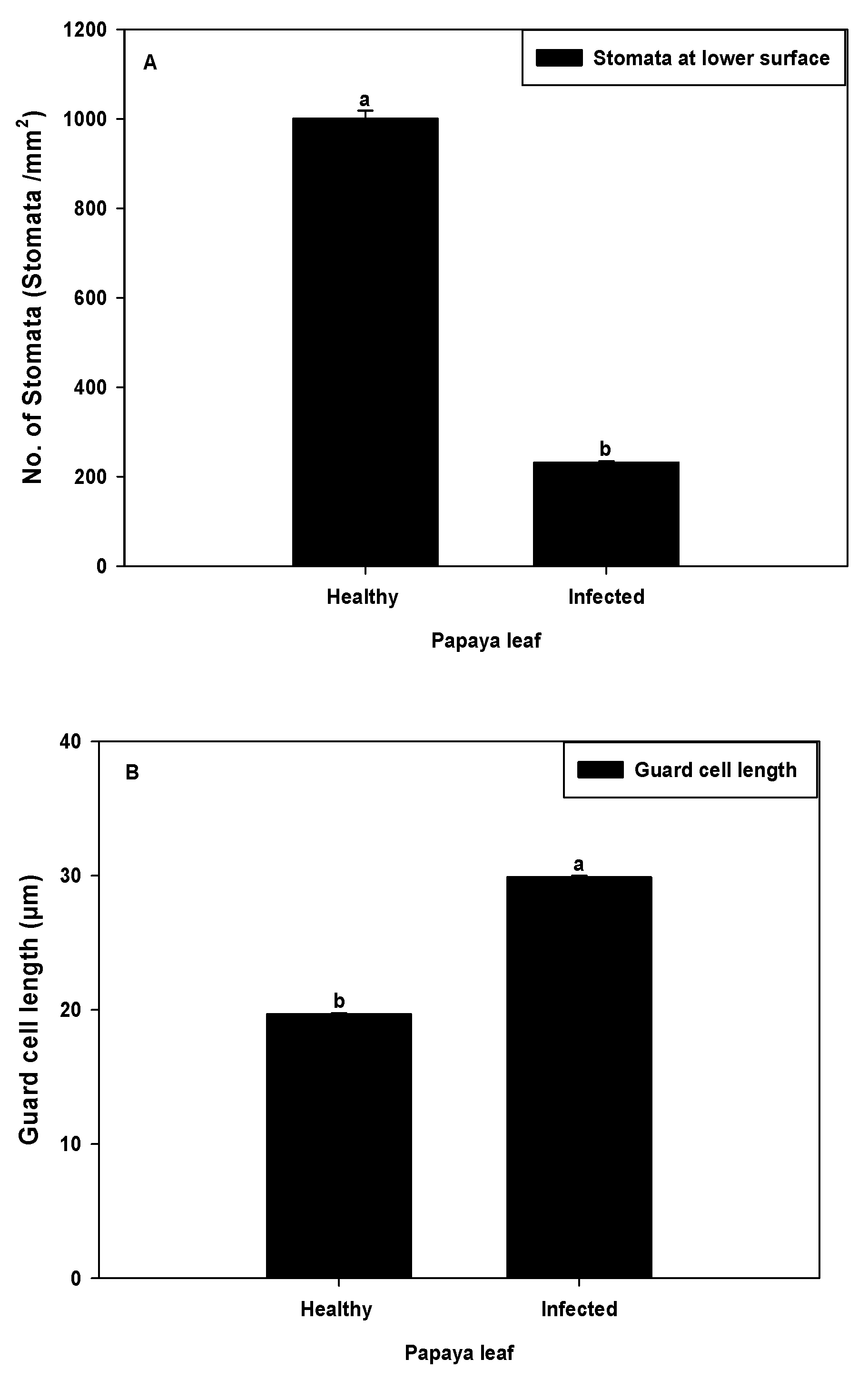Plants 11 00579 g003