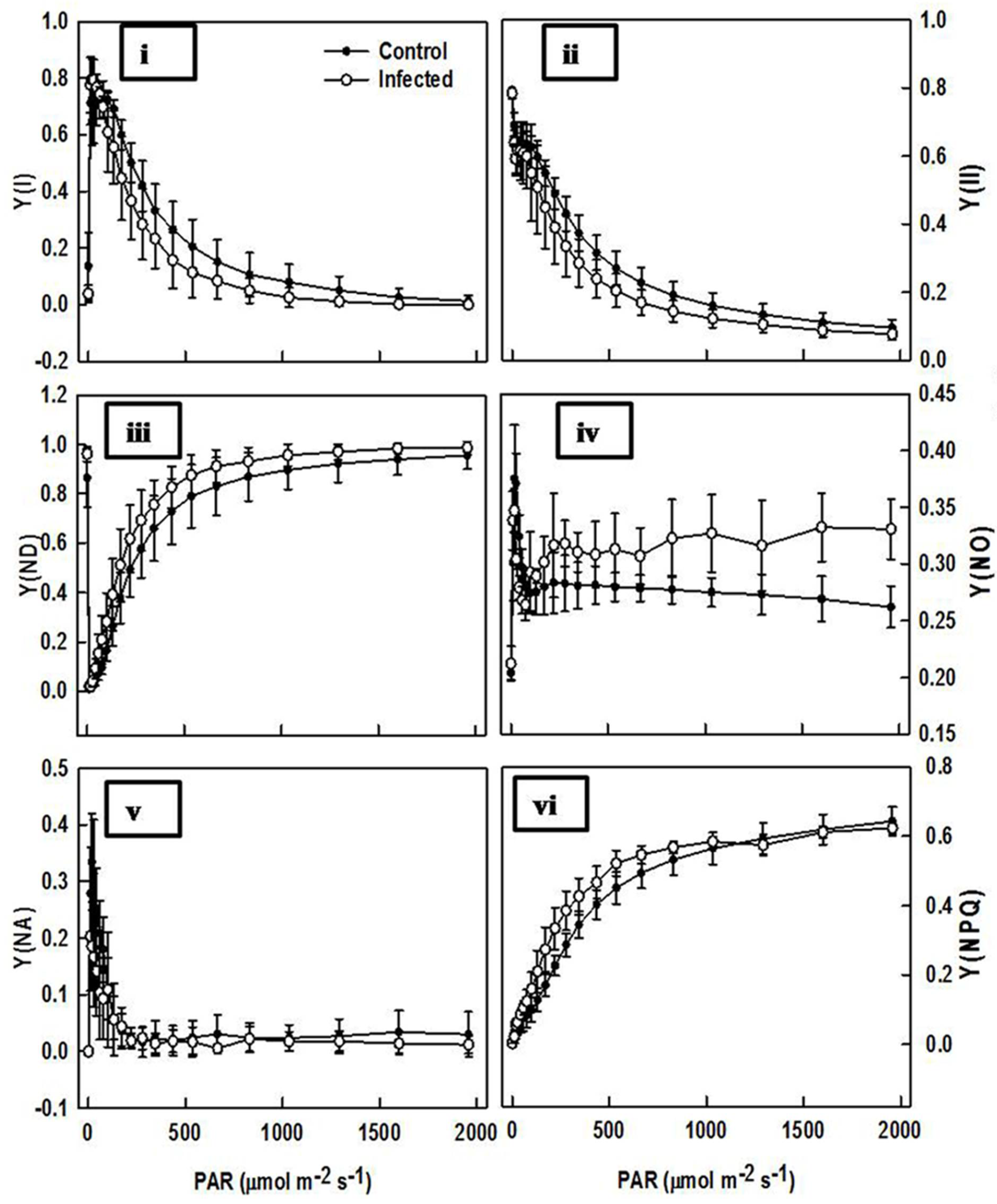 Plants 11 00579 g007