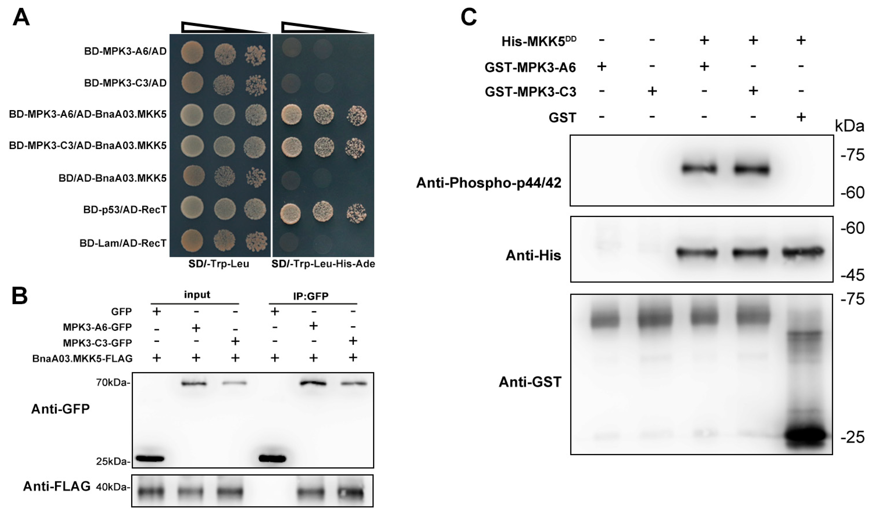 Plants 11 00609 g005