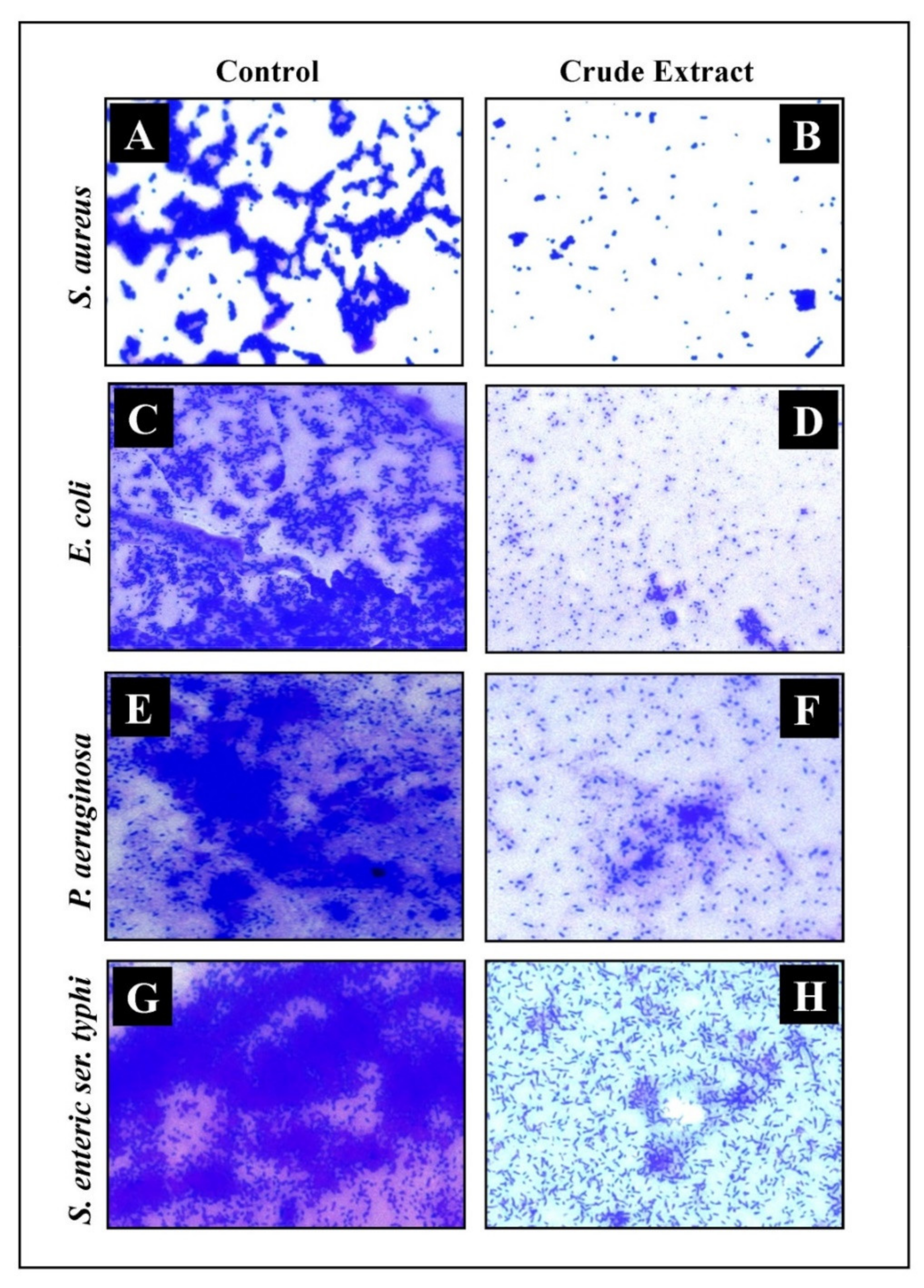 Plants 11 00610 g006