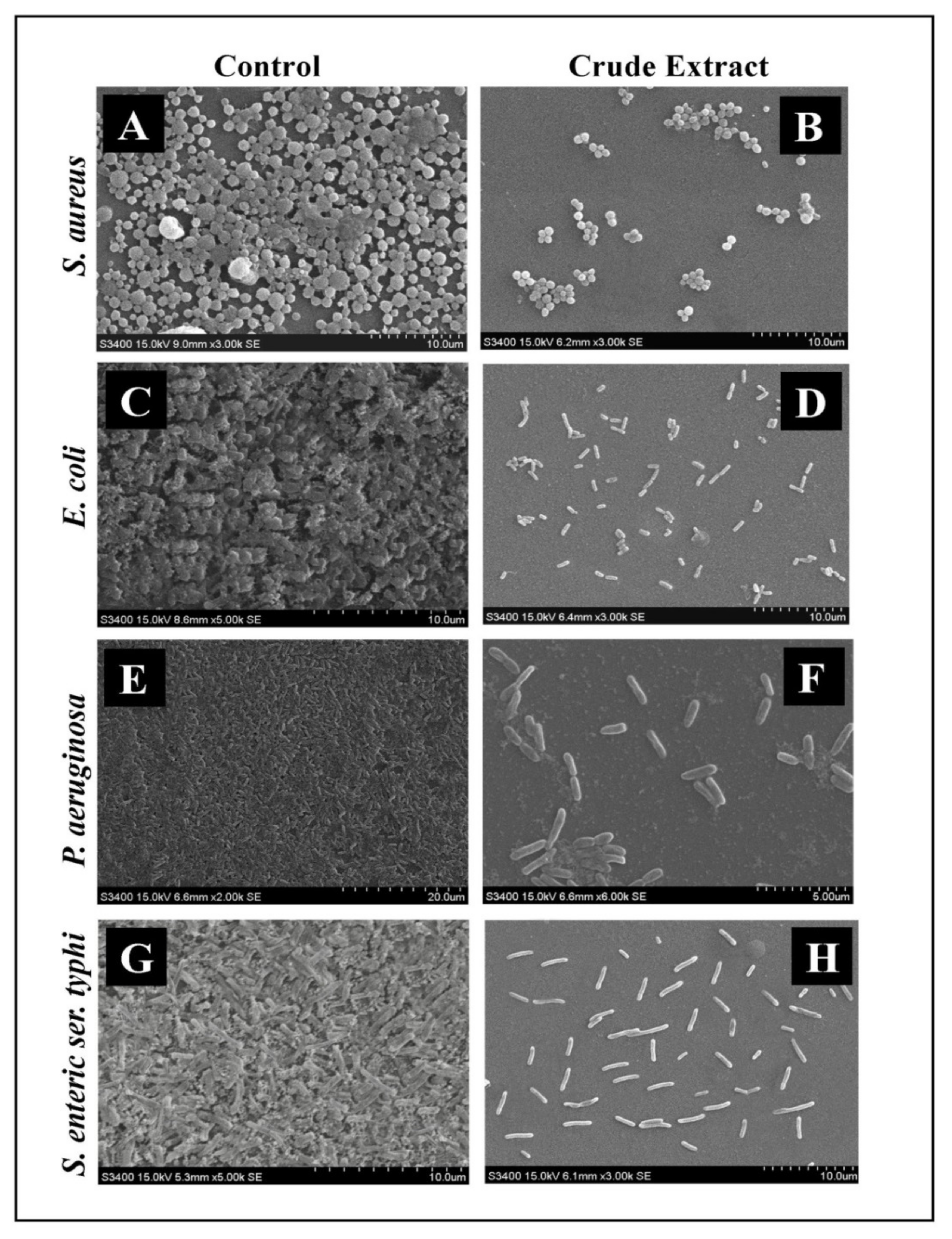 Plants 11 00610 g007