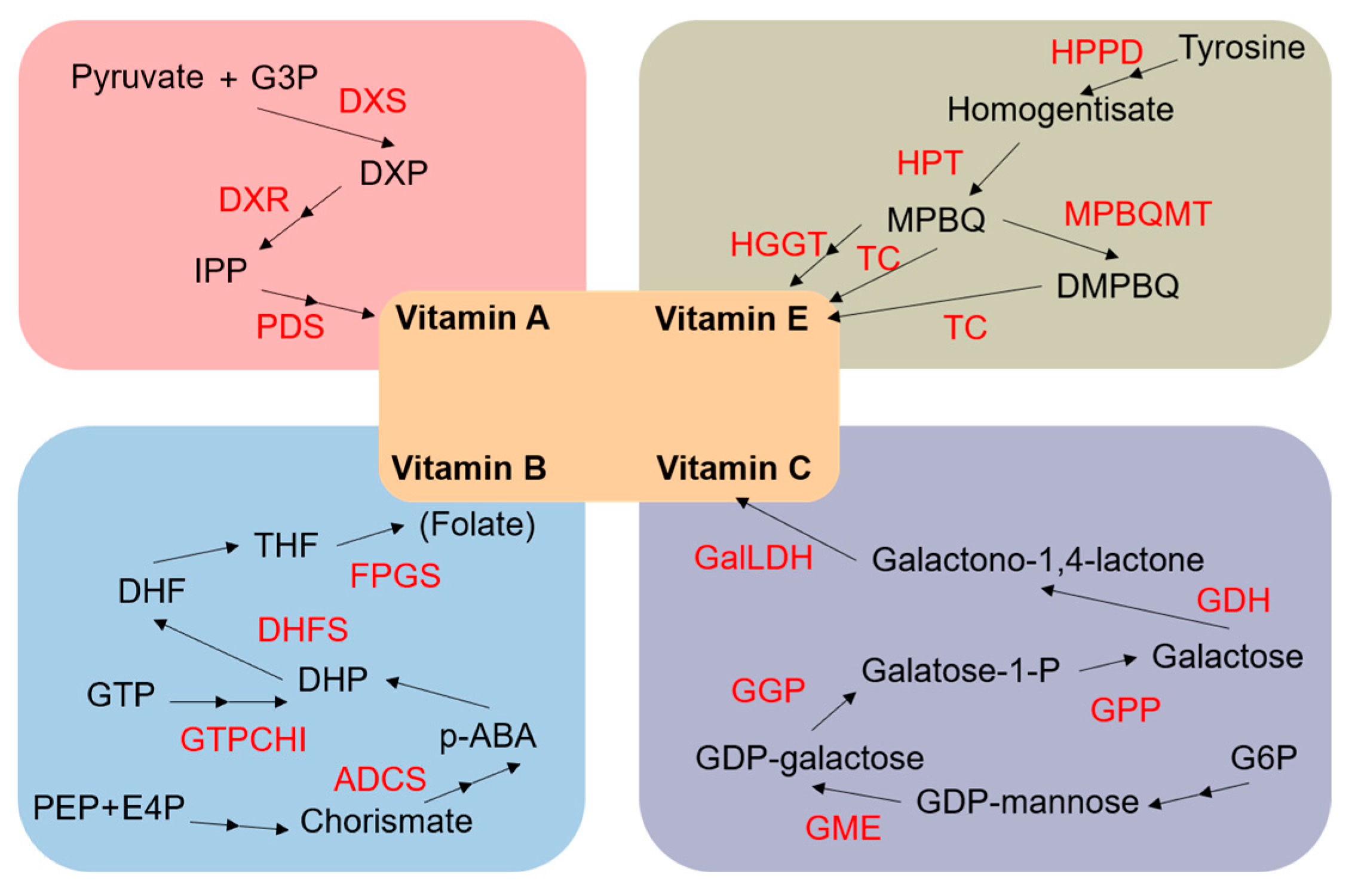Plants 11 00627 g004
