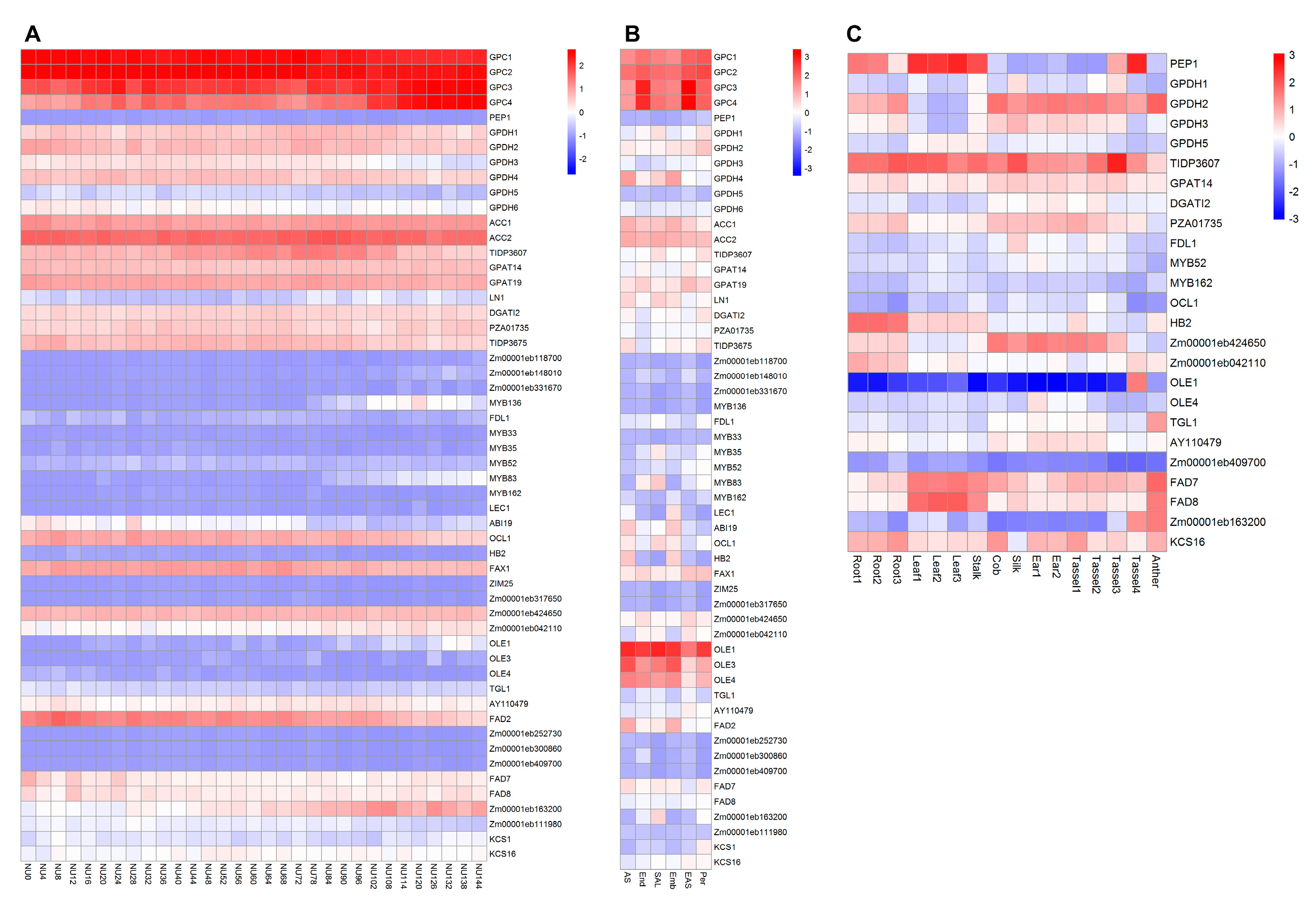 Plants 11 00627 g005