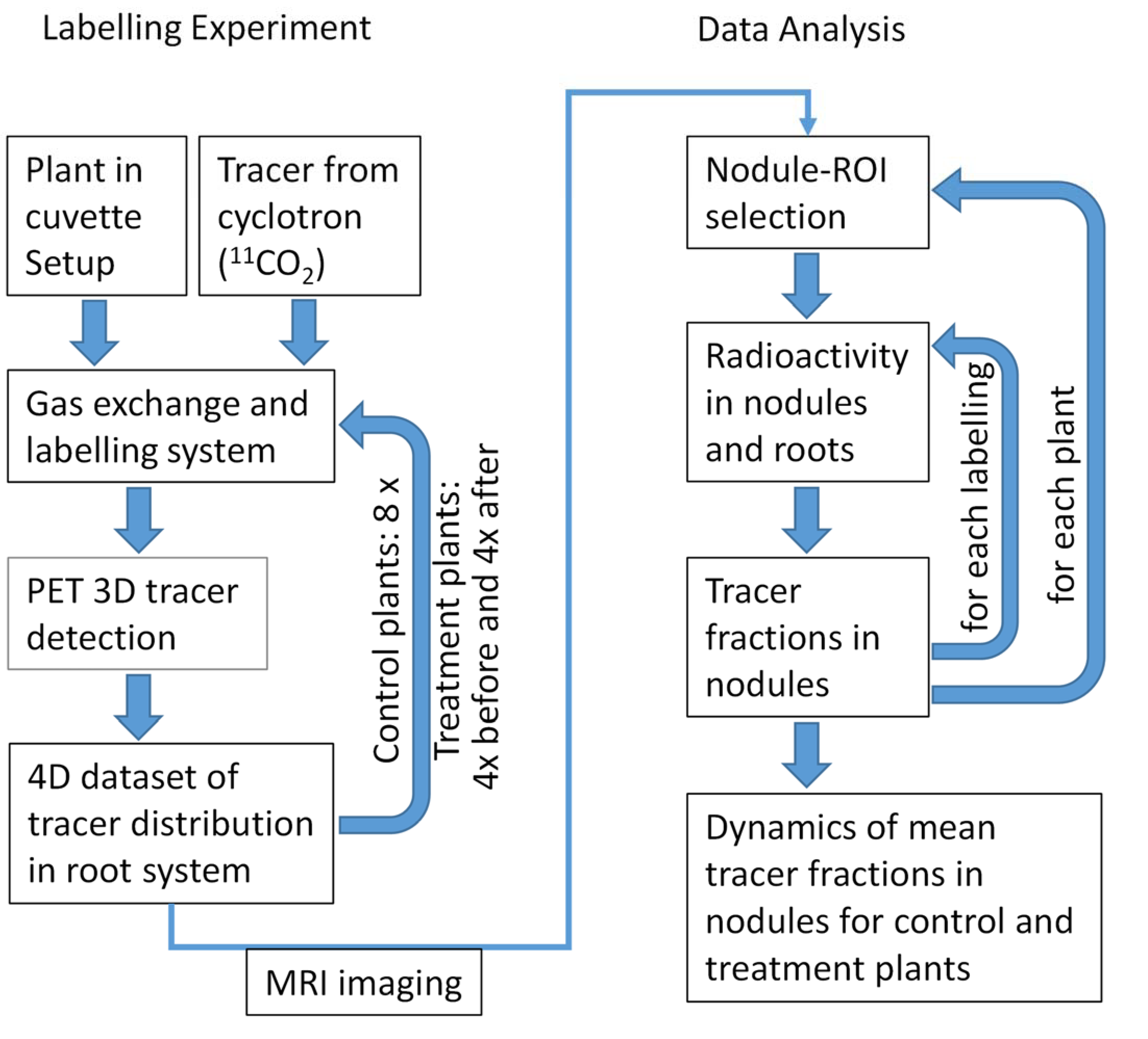 Plants 11 00632 g001