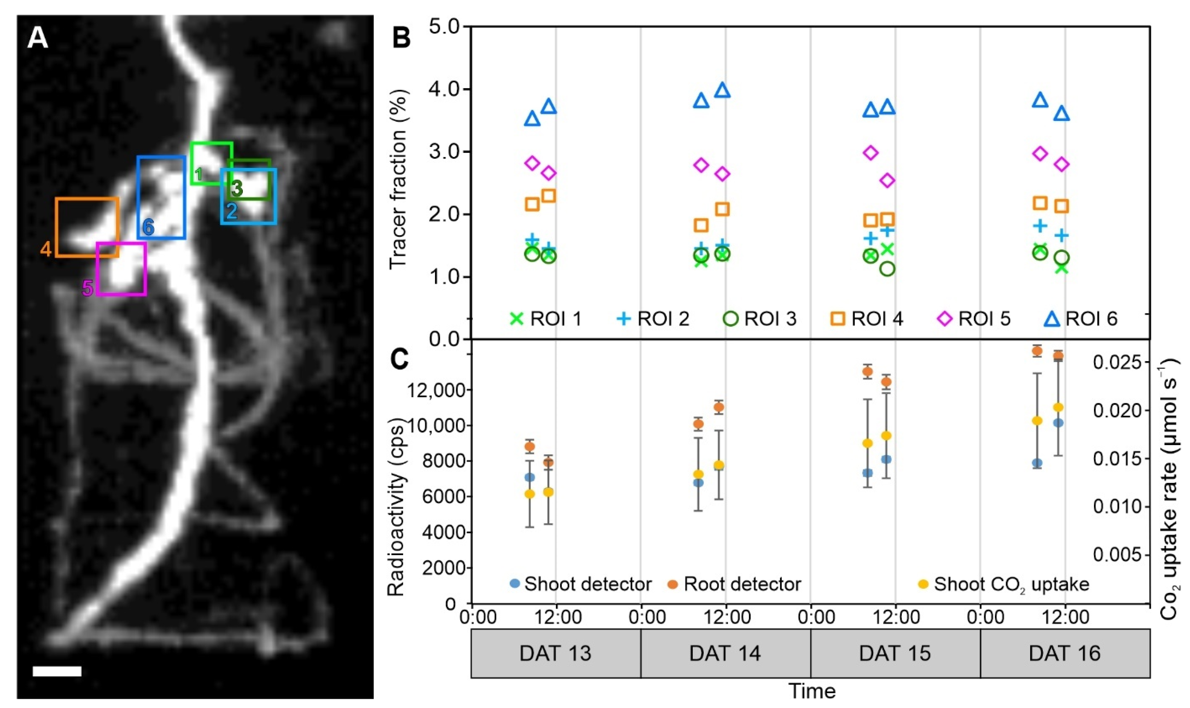 Plants 11 00632 g004