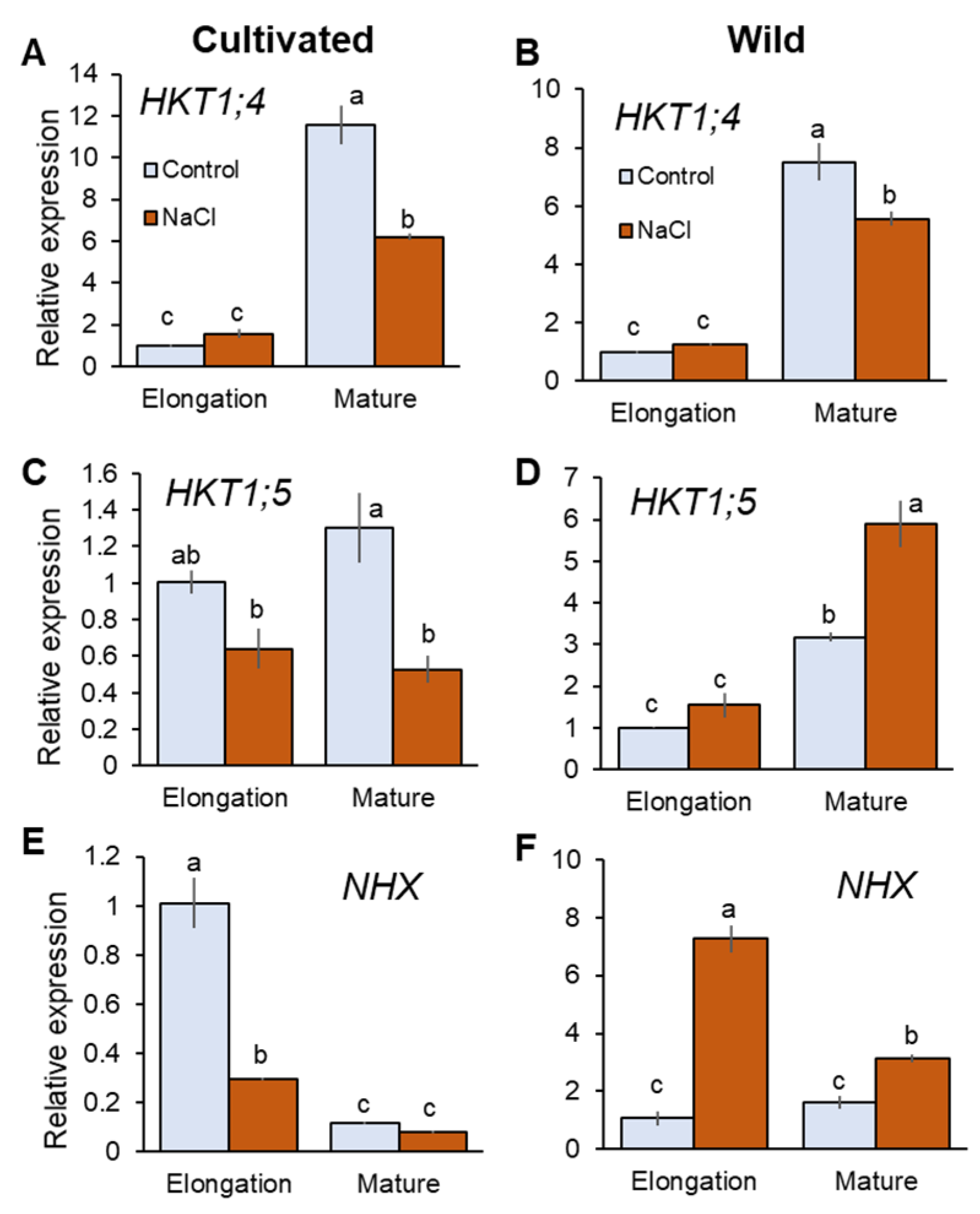 Plants 11 00656 g004