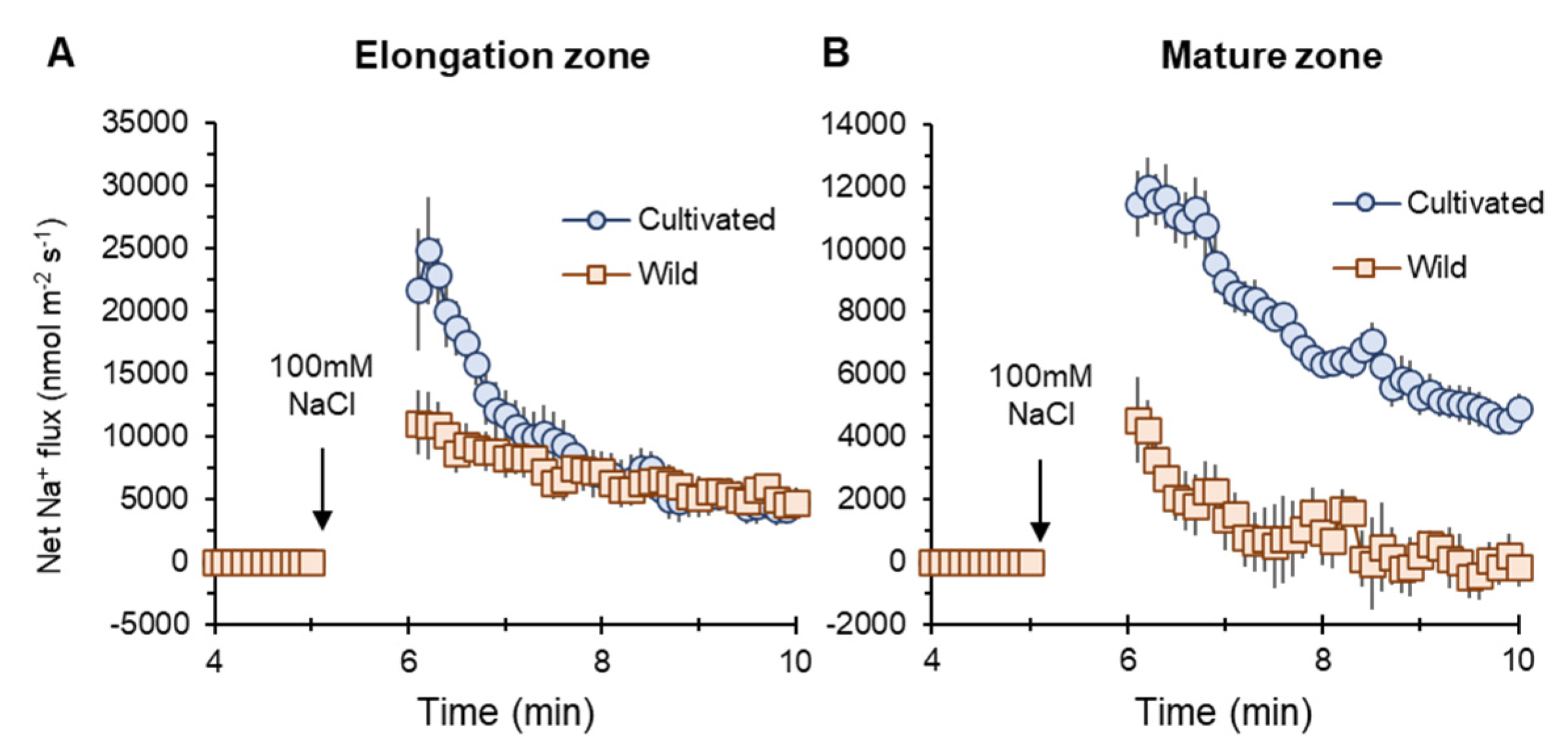 Plants 11 00656 g005