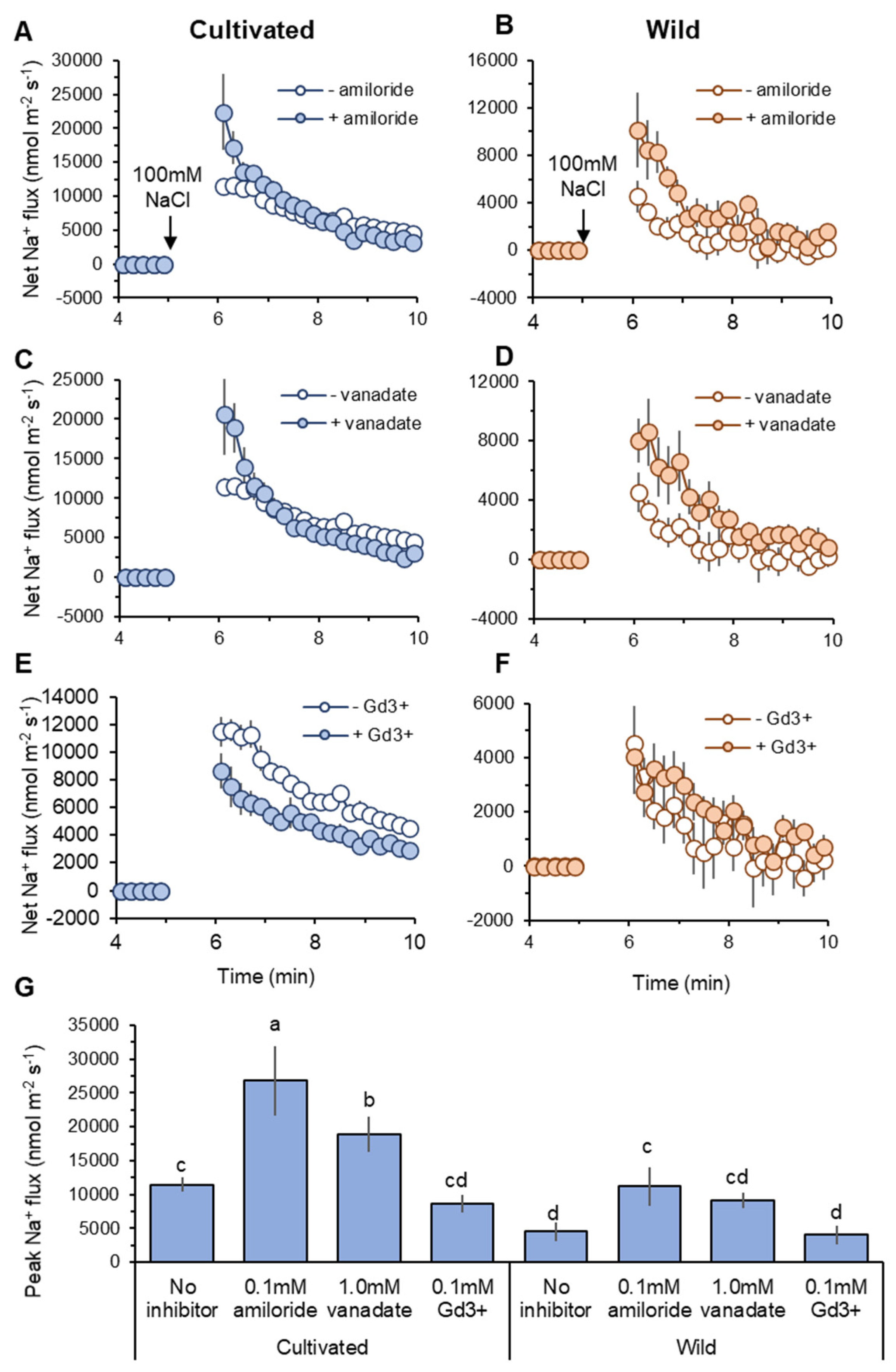 Plants 11 00656 g006