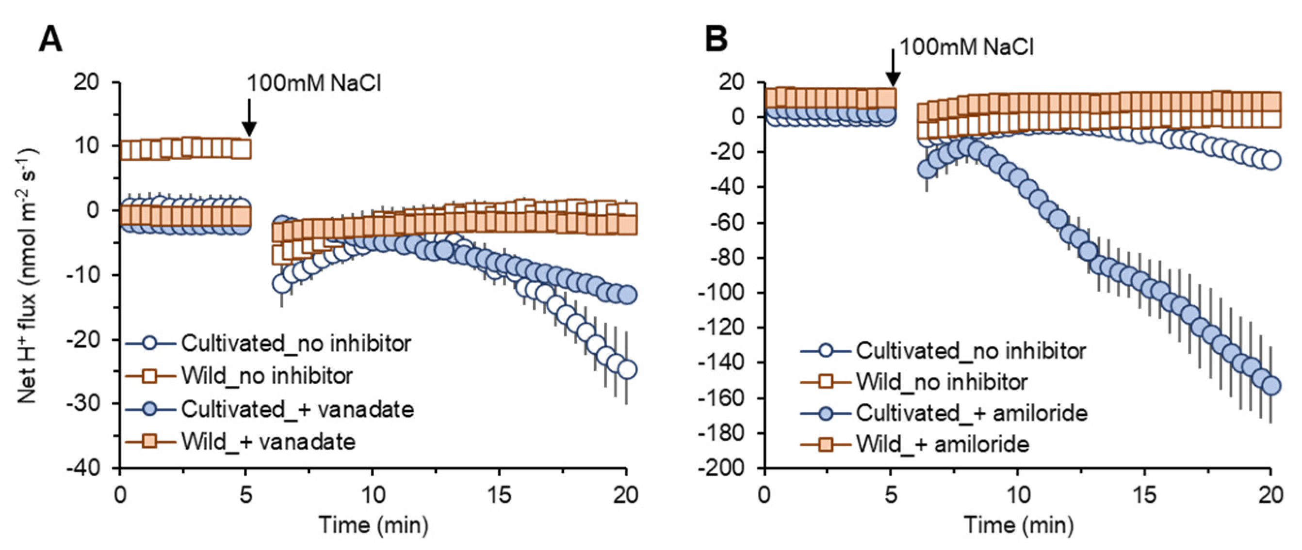 Plants 11 00656 g007