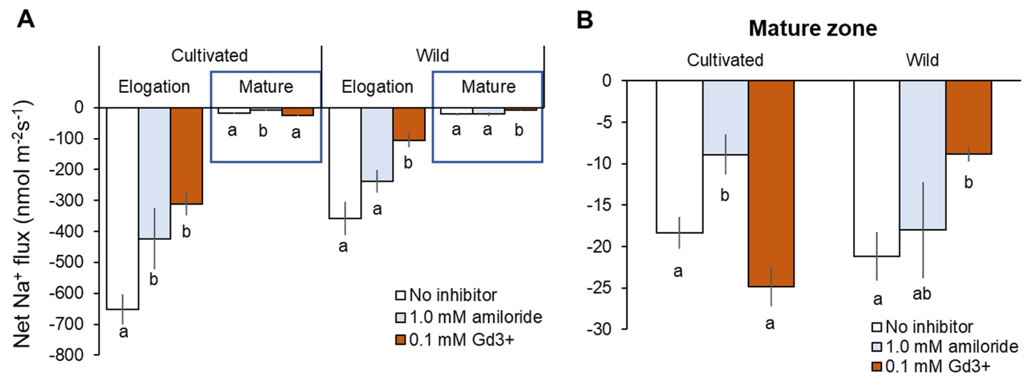 Plants 11 00656 g008