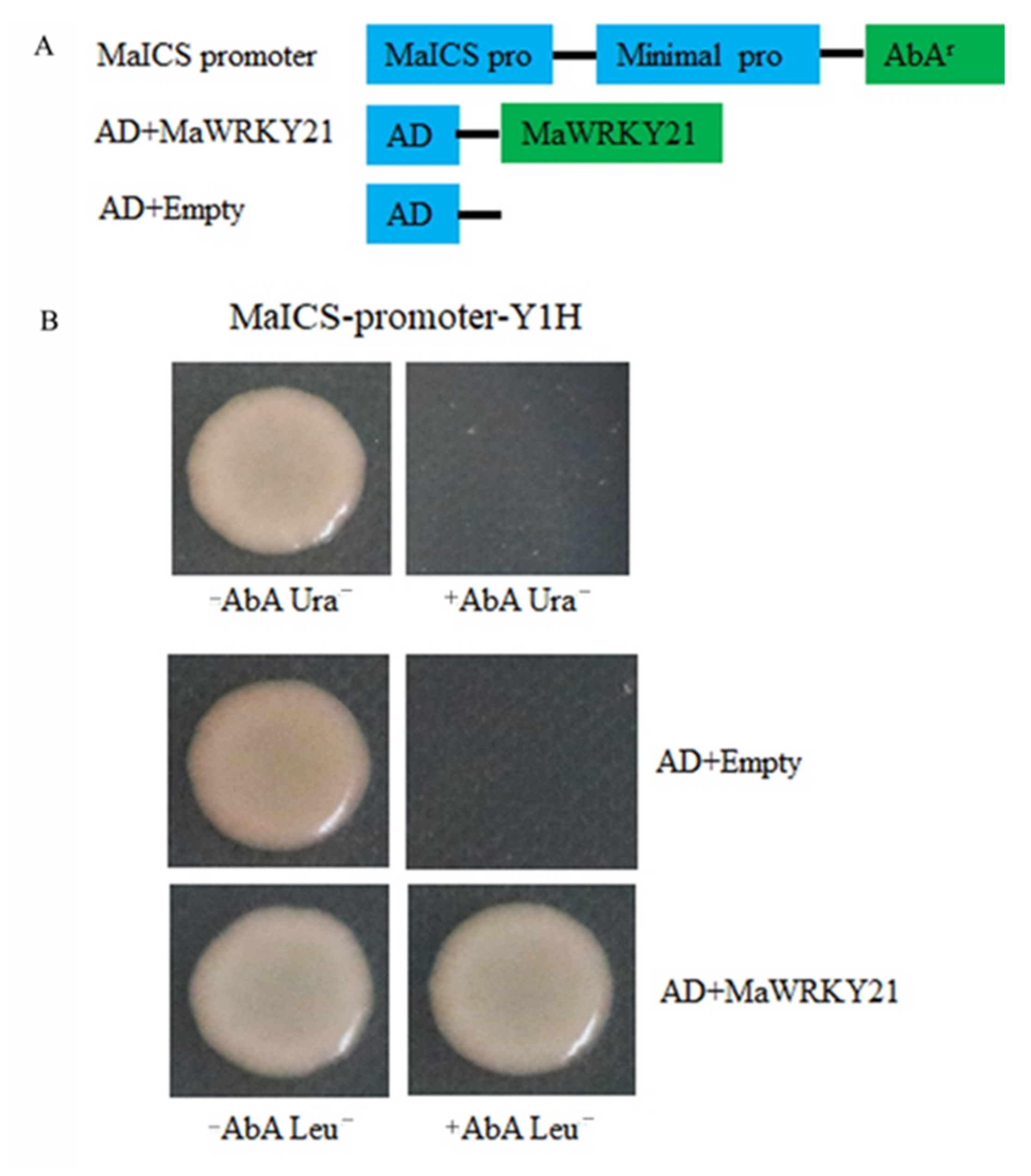 Plants 11 00662 g009