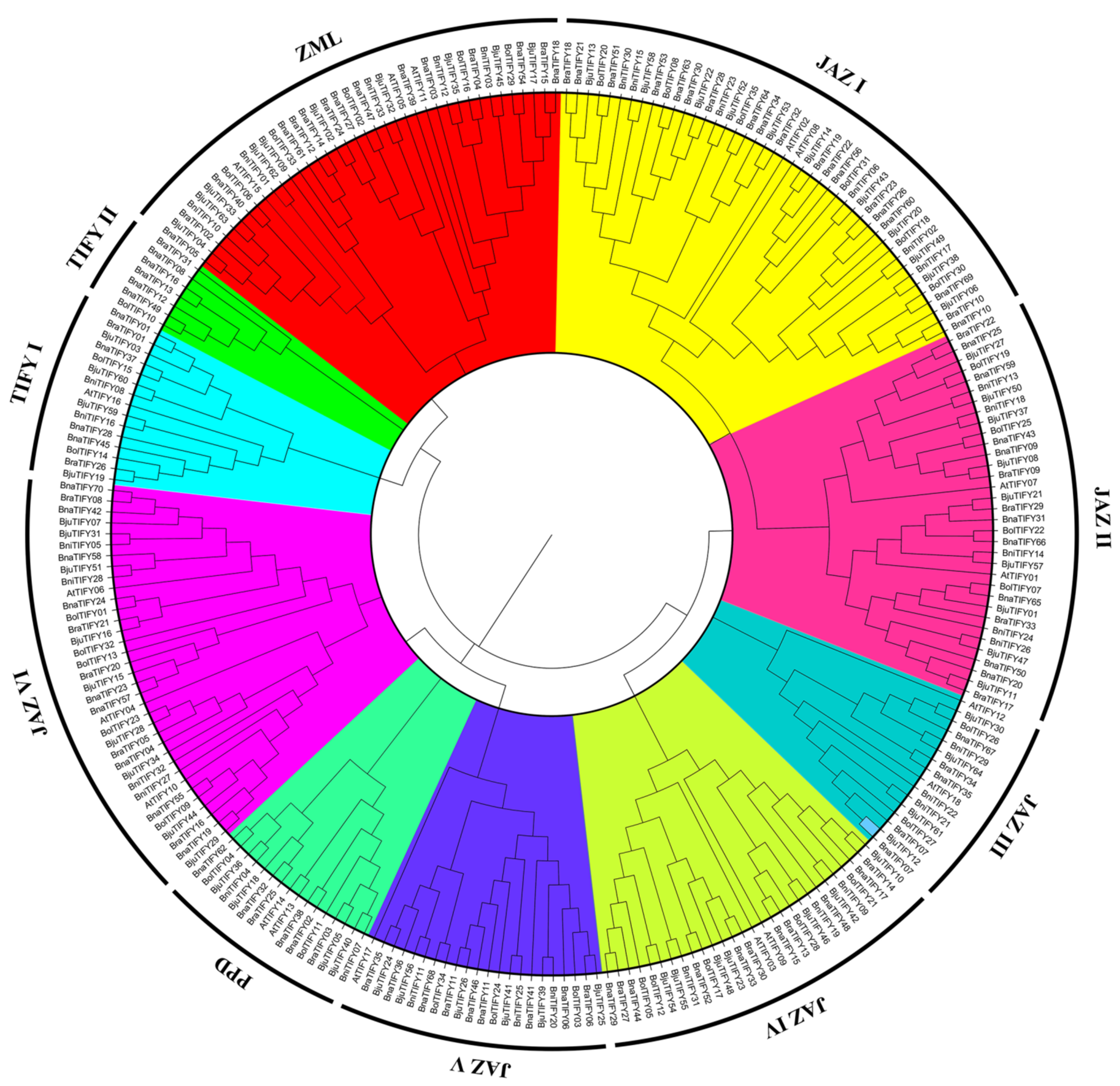 Plants 11 00667 g001