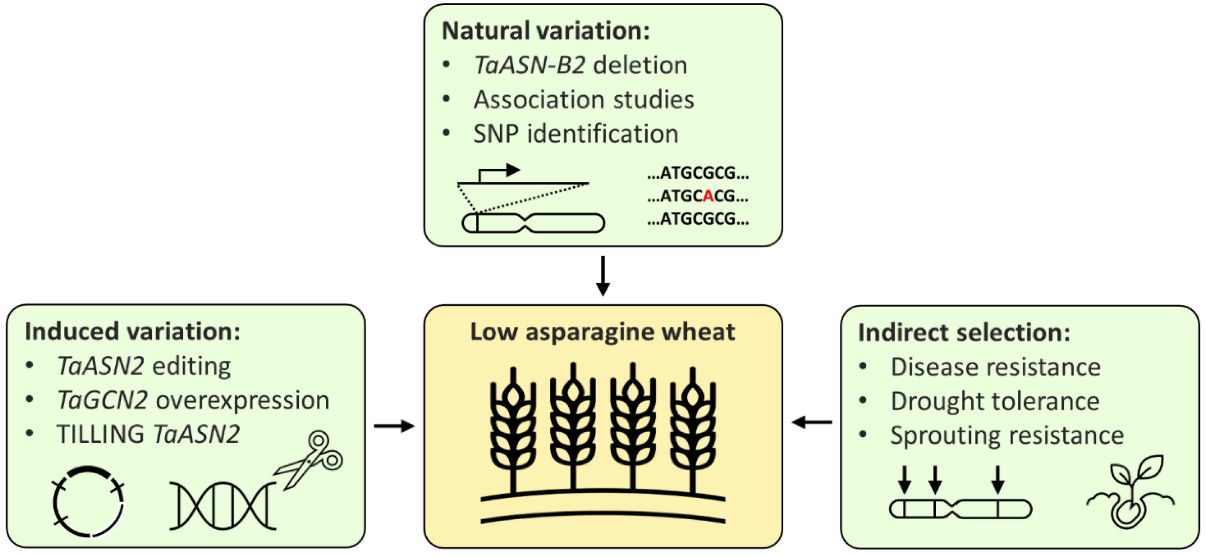 Plants 11 00669 g003