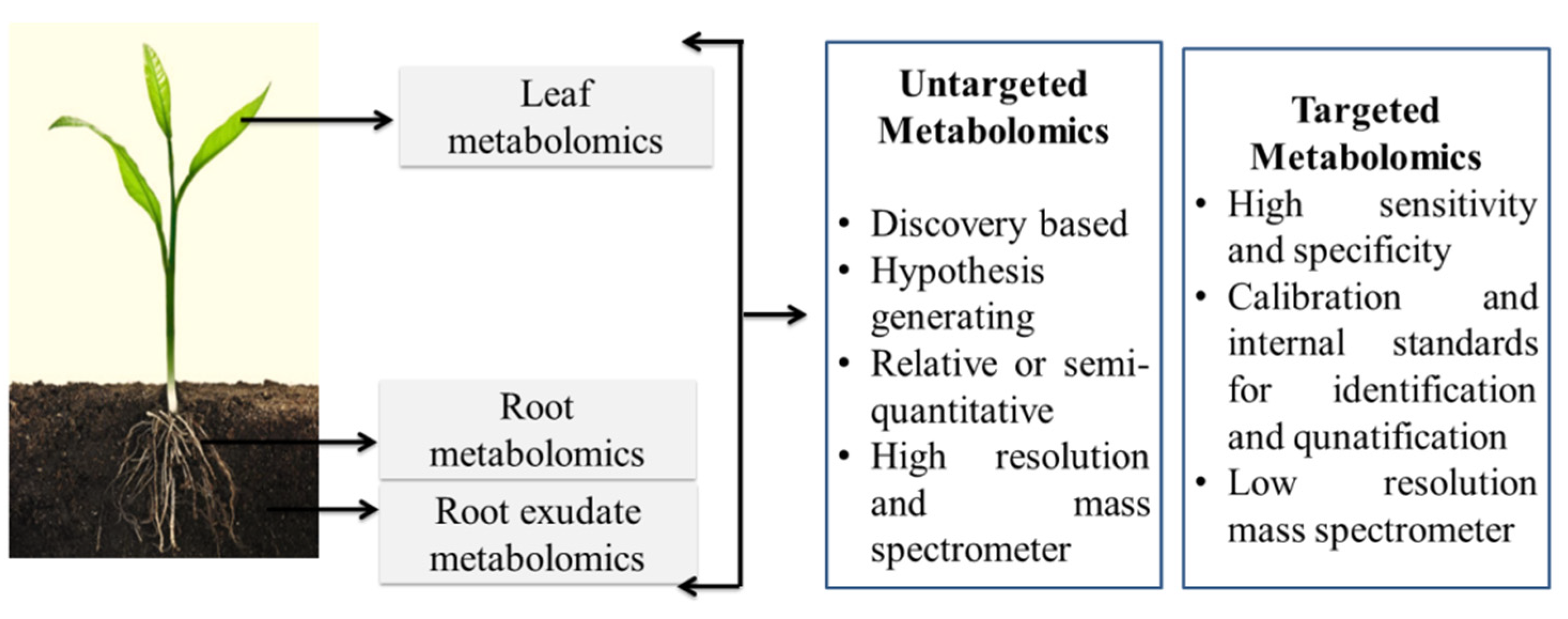 Plants 11 00691 g002